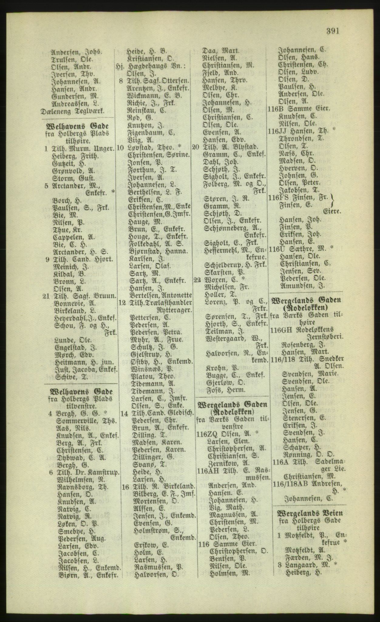 Kristiania/Oslo adressebok, PUBL/-, 1880, p. 391