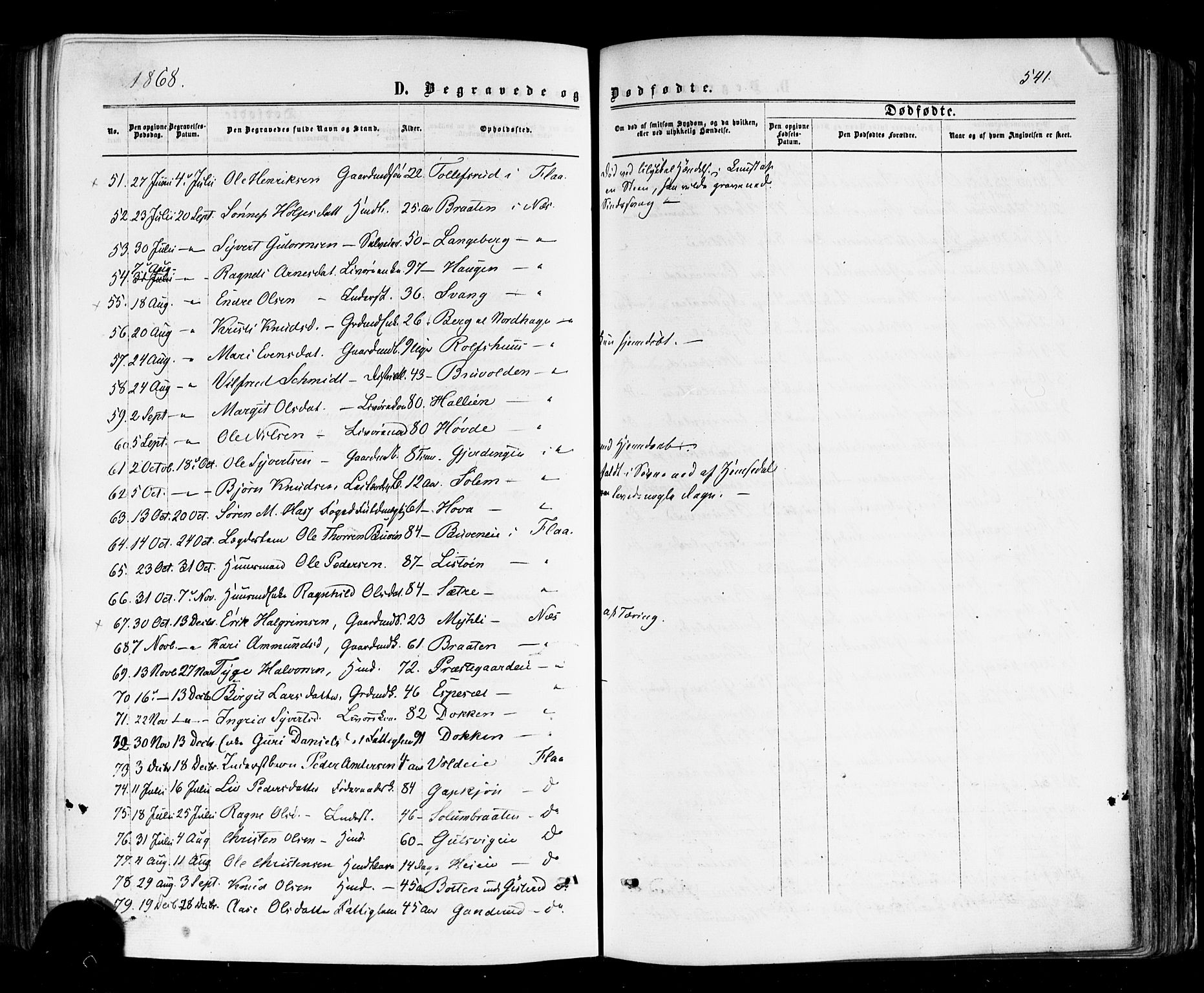 Nes kirkebøker, AV/SAKO-A-236/F/Fa/L0010: Parish register (official) no. 10, 1864-1880, p. 541