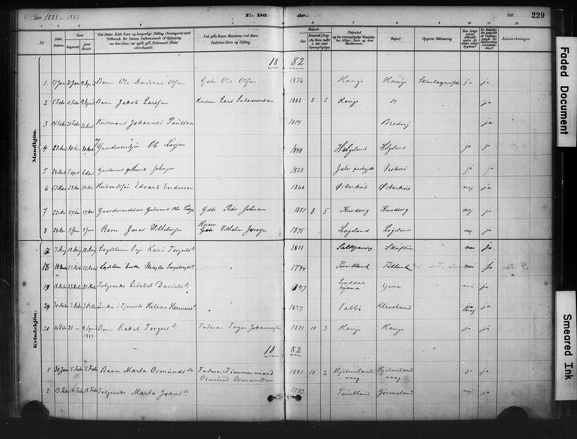 Hjelmeland sokneprestkontor, AV/SAST-A-101843/01/IV/L0014: Parish register (official) no. A 14, 1879-1900, p. 229