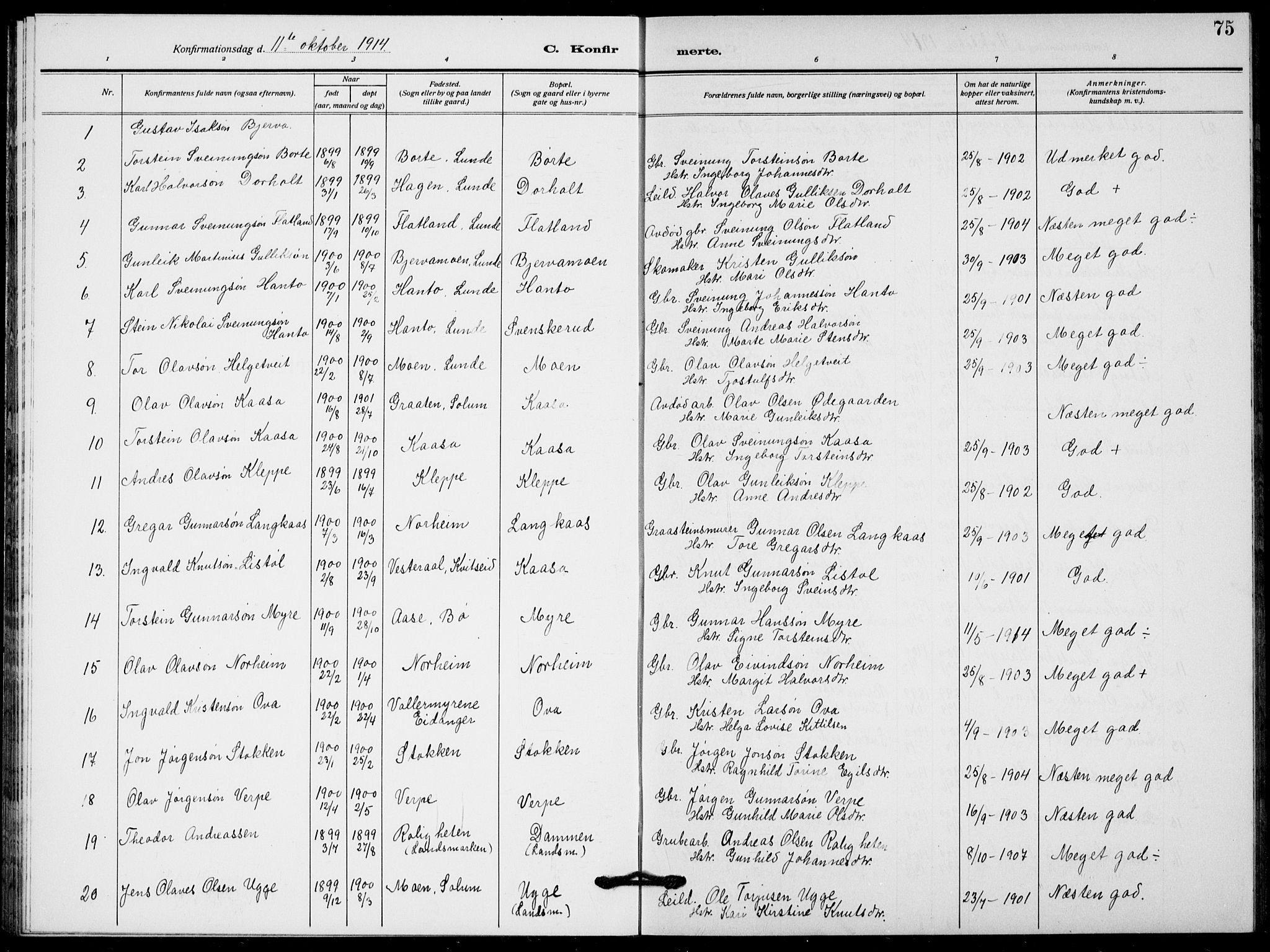 Lunde kirkebøker, AV/SAKO-A-282/G/Ga/L0005: Parish register (copy) no. I 5, 1914-1922, p. 75