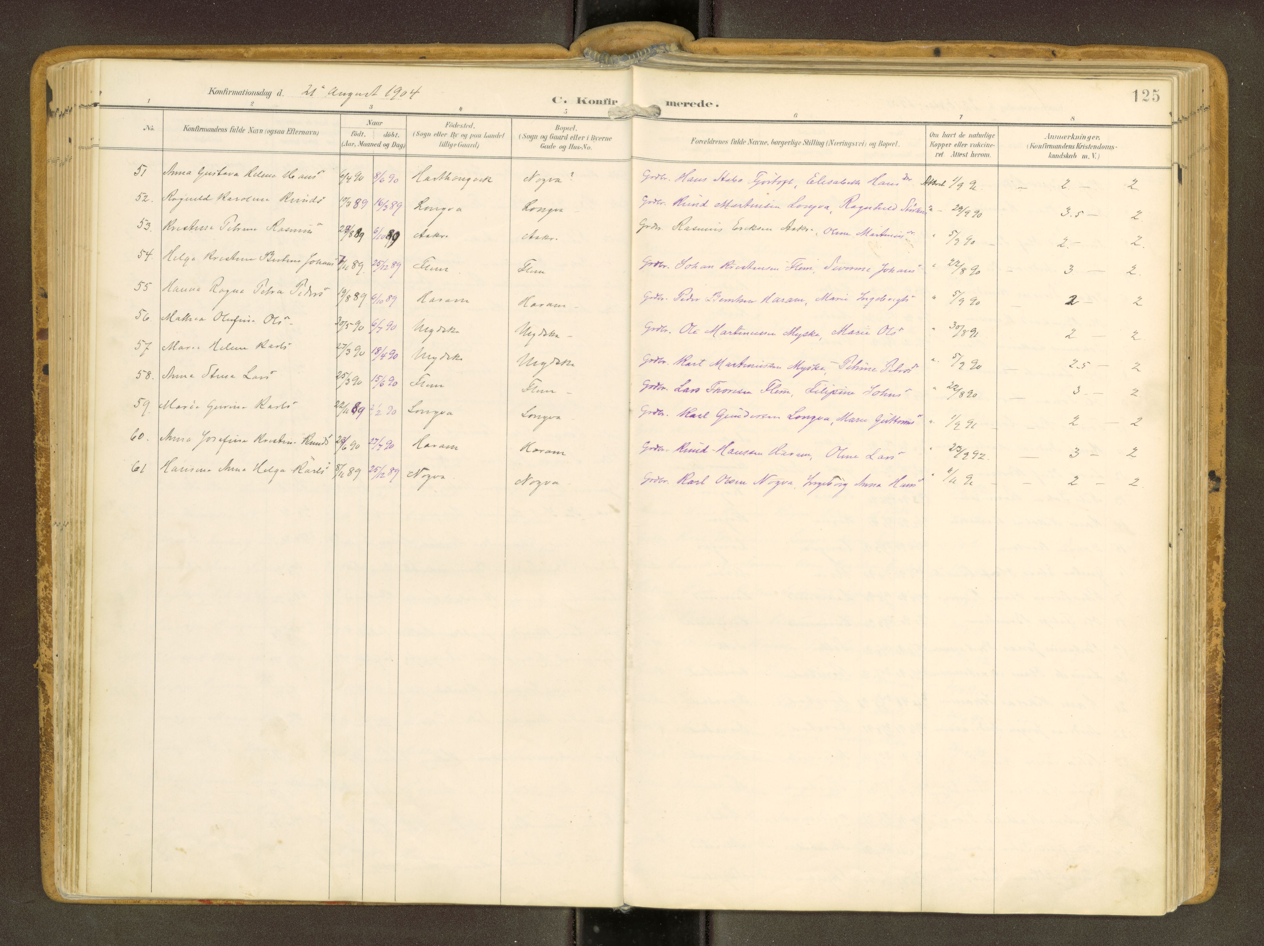 Ministerialprotokoller, klokkerbøker og fødselsregistre - Møre og Romsdal, AV/SAT-A-1454/536/L0517: Parish register (official) no. 536A--, 1897-1917, p. 125