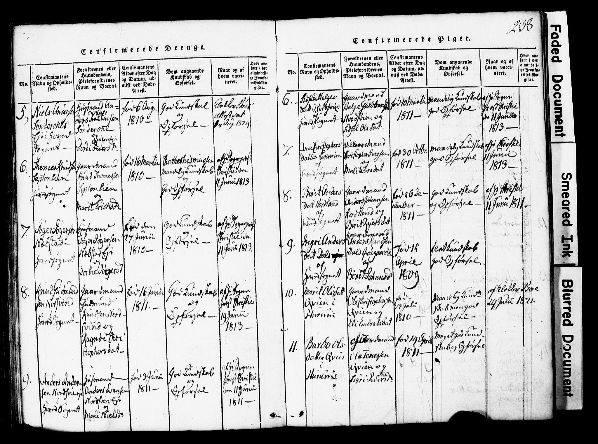 Vang prestekontor, Valdres, SAH/PREST-140/H/Hb/L0001: Parish register (copy) no. 1, 1814-1820, p. 238