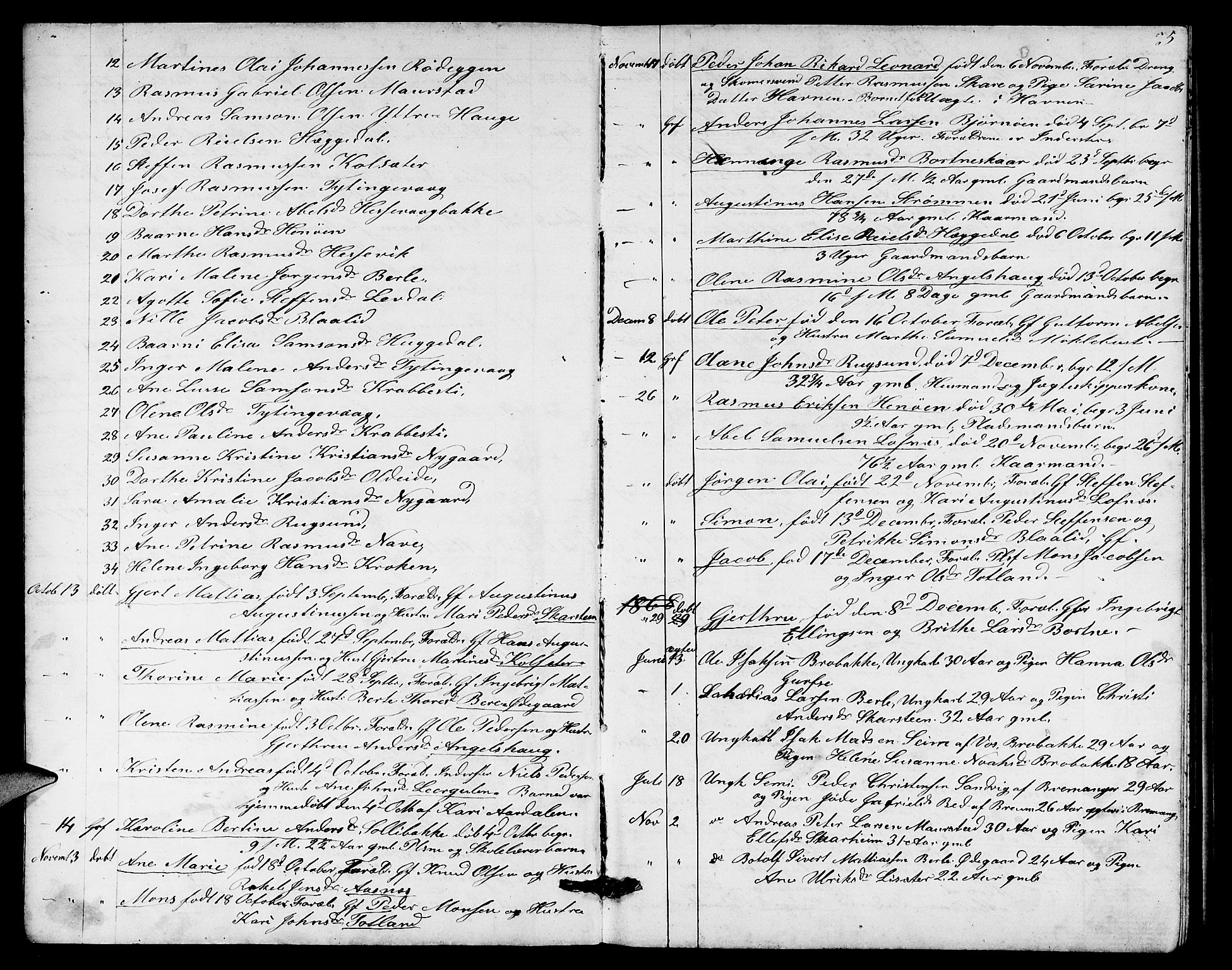 Davik sokneprestembete, SAB/A-79701/H/Hab/Habc/L0001: Parish register (copy) no. C 1, 1866-1888, p. 5