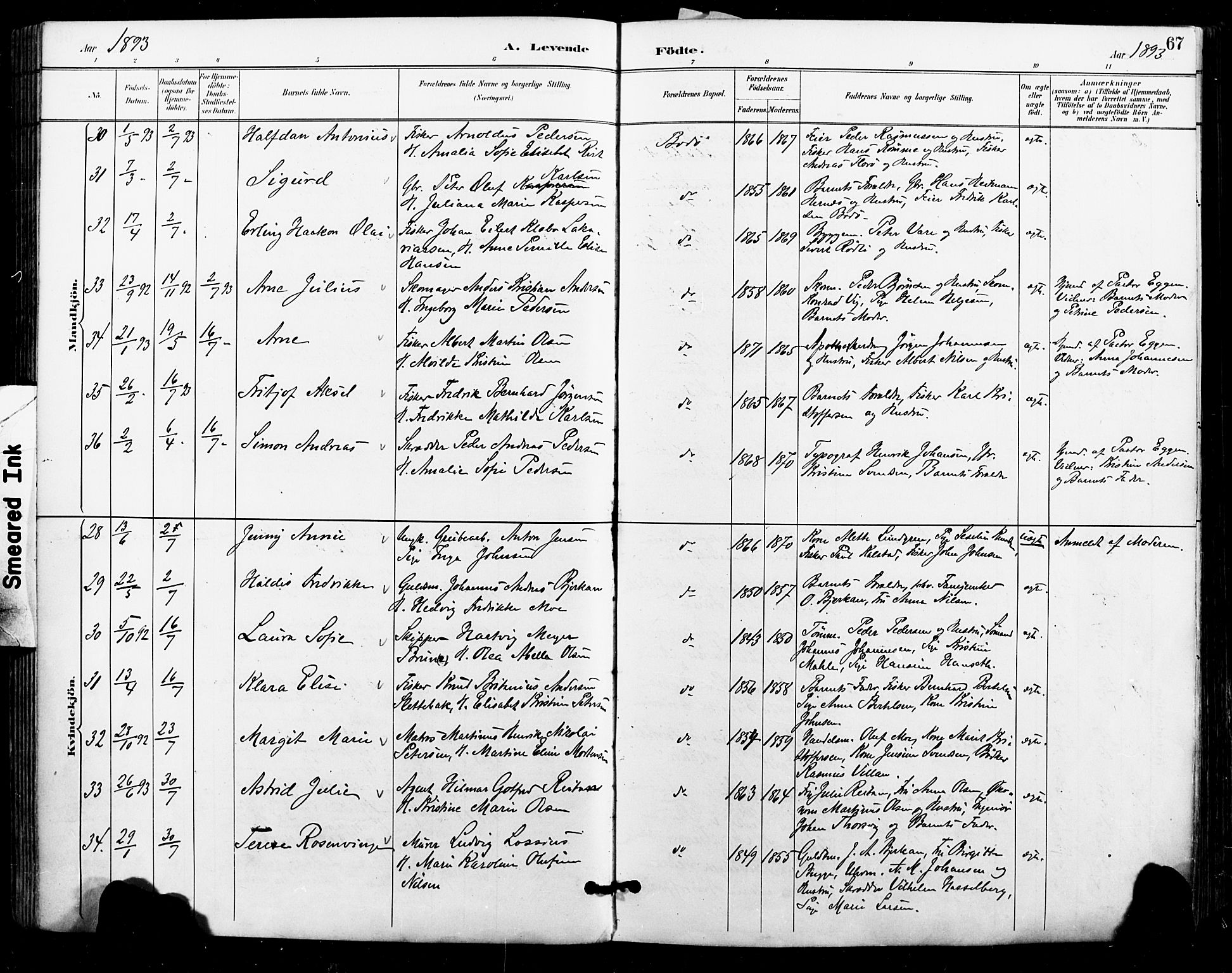 Ministerialprotokoller, klokkerbøker og fødselsregistre - Nordland, AV/SAT-A-1459/801/L0010: Parish register (official) no. 801A10, 1888-1899, p. 67