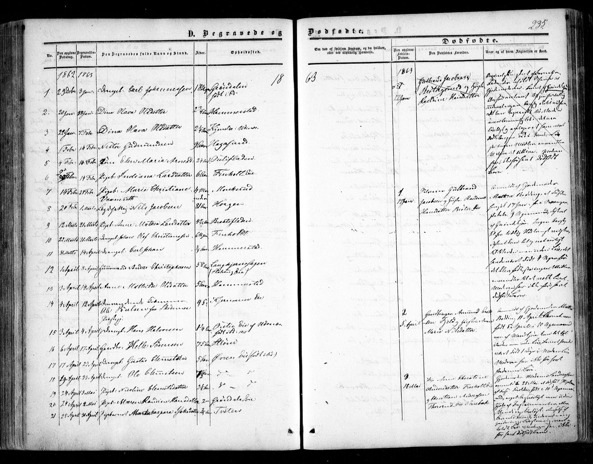 Nes prestekontor Kirkebøker, SAO/A-10410/F/Fc/L0001: Parish register (official) no. III 1, 1859-1882, p. 235