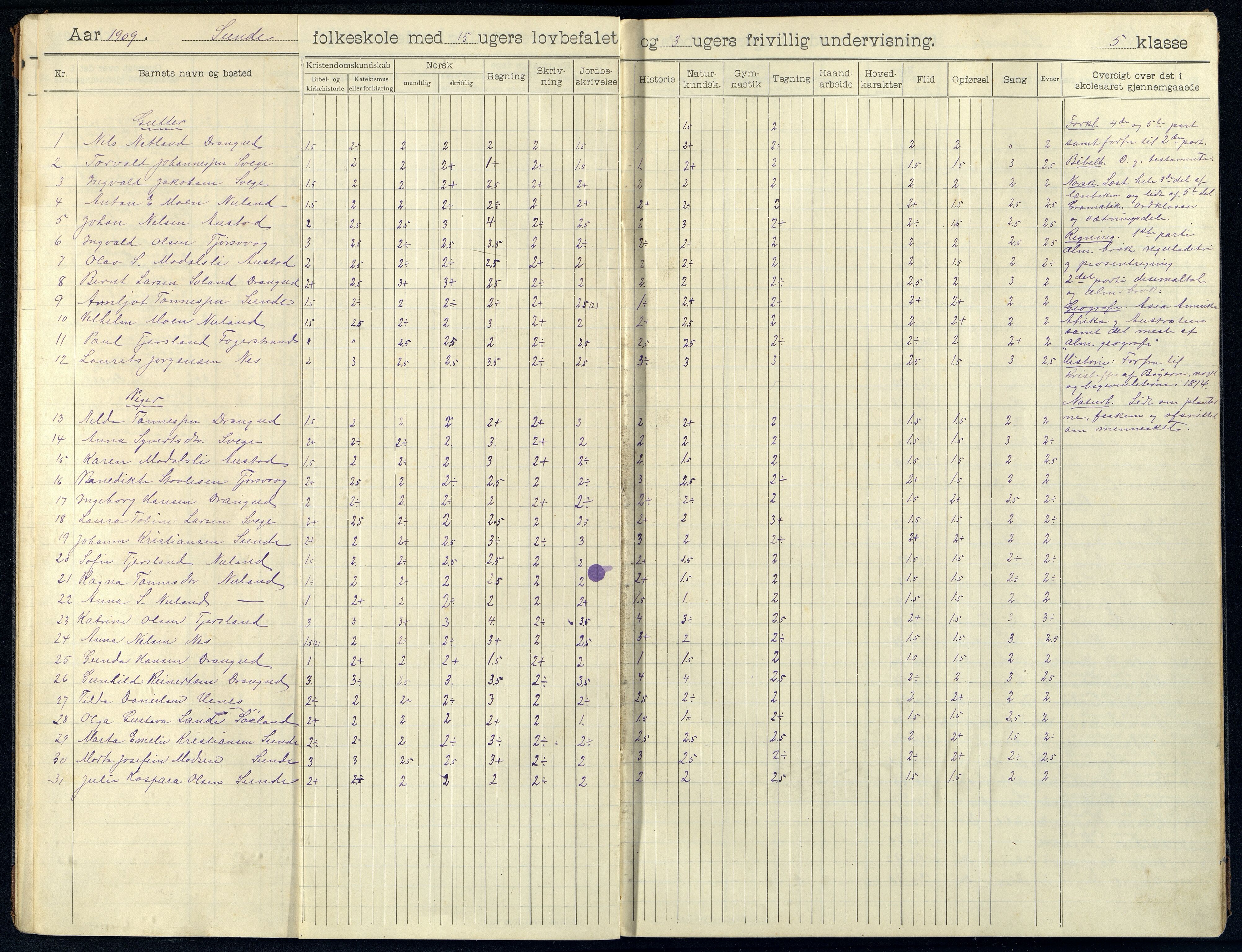 Nes kommune - Sunde Skole, ARKSOR/1004NE556/H/L0005: Skoleprotokoll, 1920