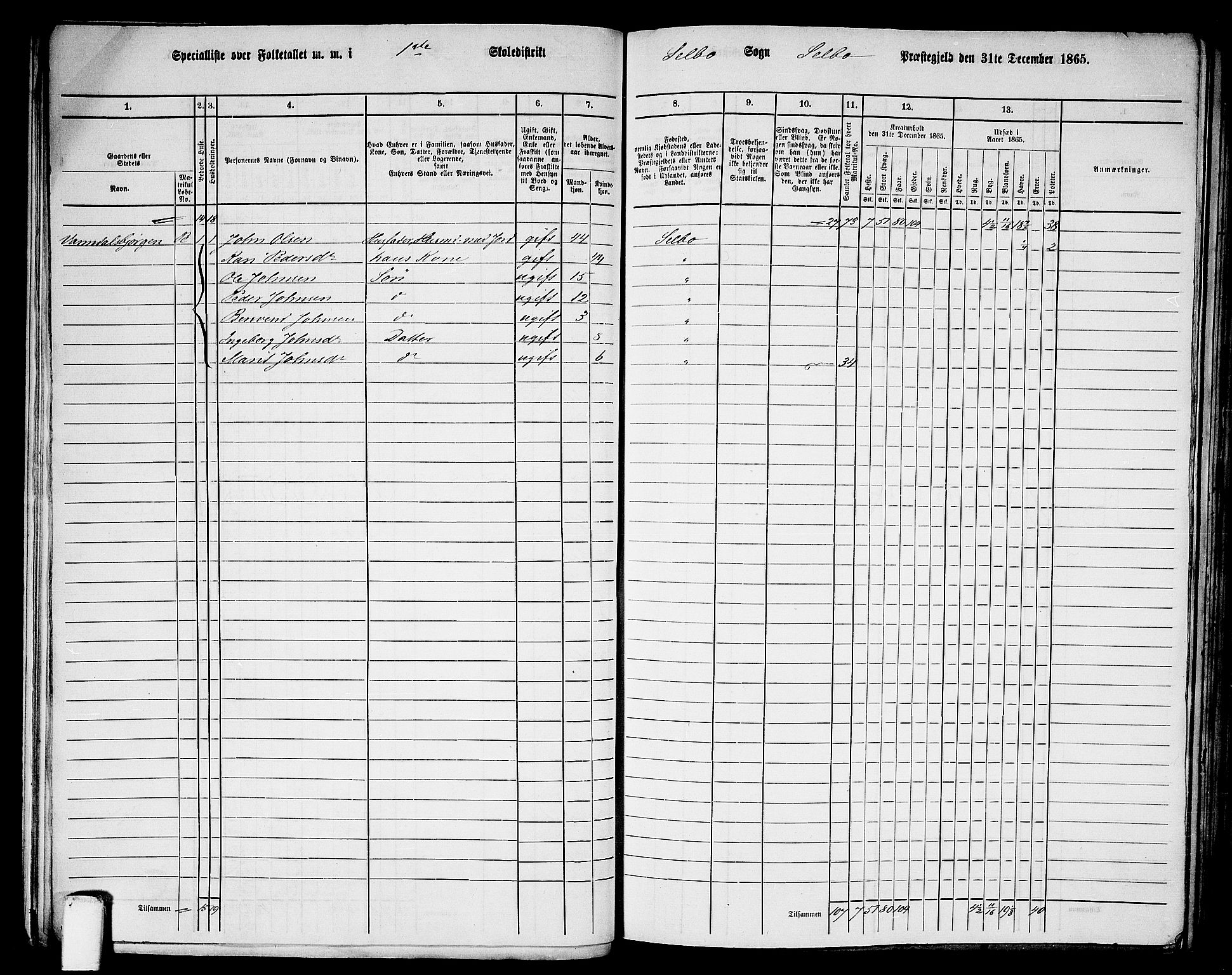 RA, 1865 census for Selbu, 1865, p. 15