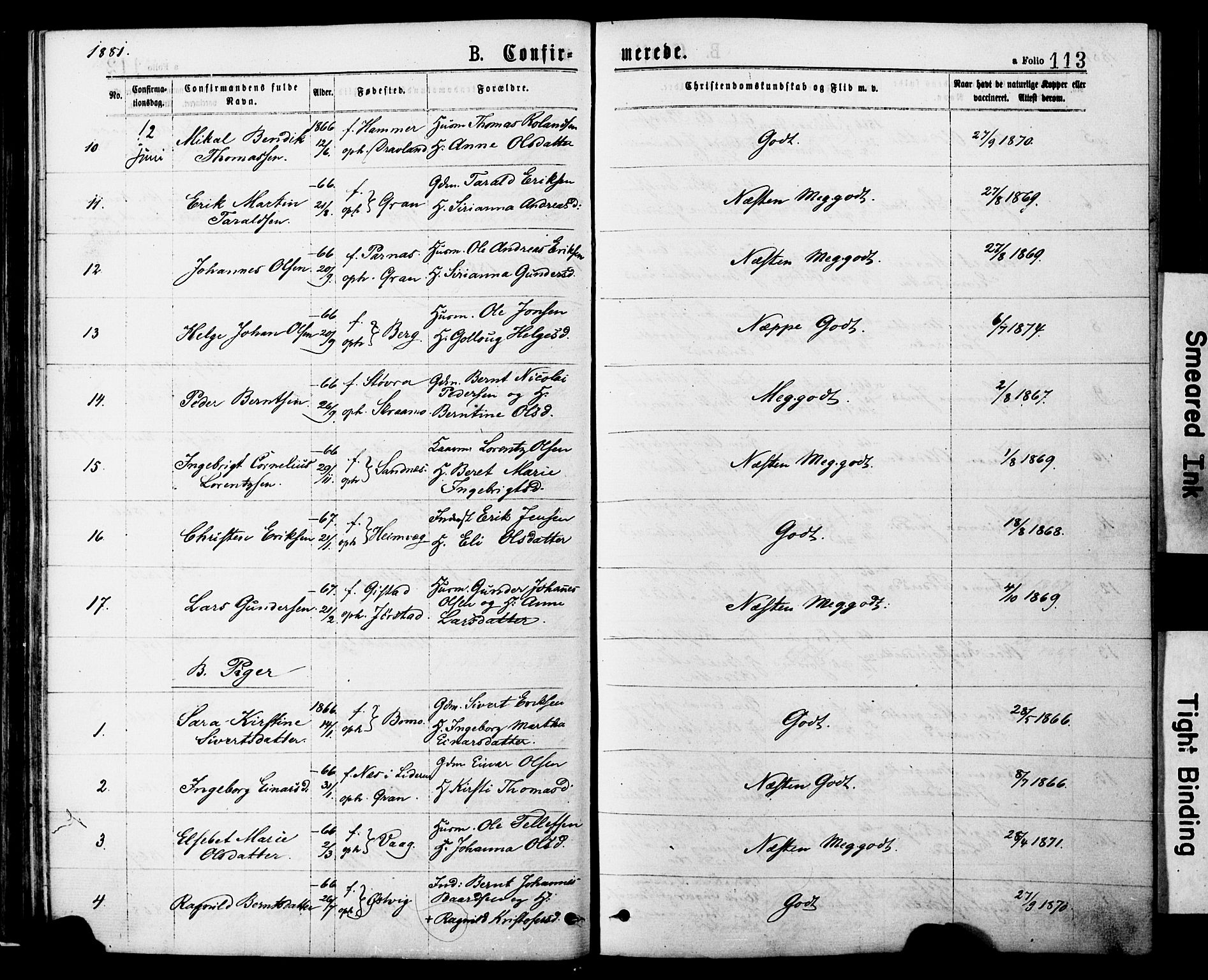 Ministerialprotokoller, klokkerbøker og fødselsregistre - Nord-Trøndelag, SAT/A-1458/749/L0473: Parish register (official) no. 749A07, 1873-1887, p. 113