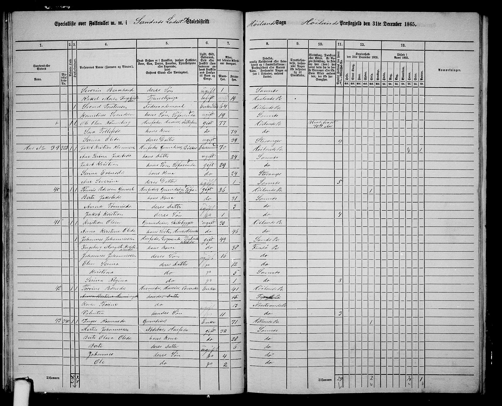 RA, 1865 census for Høyland, 1865, p. 160