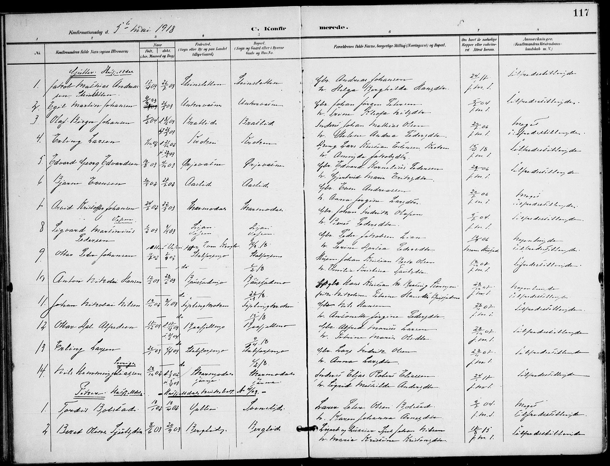 Ministerialprotokoller, klokkerbøker og fødselsregistre - Nordland, AV/SAT-A-1459/823/L0326: Parish register (official) no. 823A03, 1899-1919, p. 117