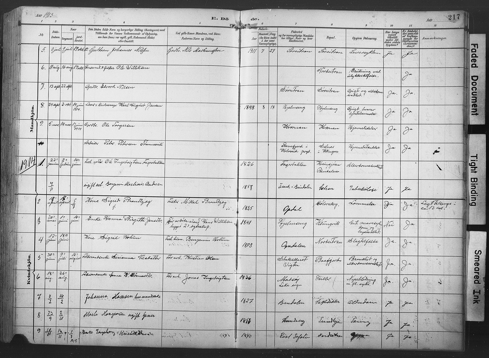 Ministerialprotokoller, klokkerbøker og fødselsregistre - Nord-Trøndelag, SAT/A-1458/789/L0706: Parish register (copy) no. 789C01, 1888-1931, p. 217
