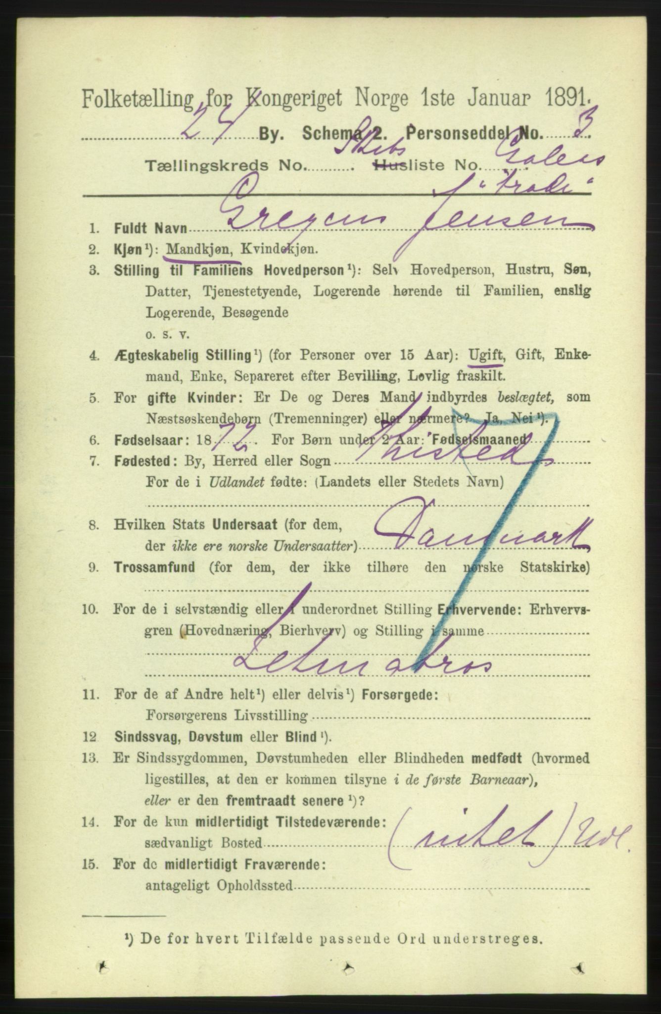 RA, 1891 census for 0707 Larvik, 1891, p. 13950