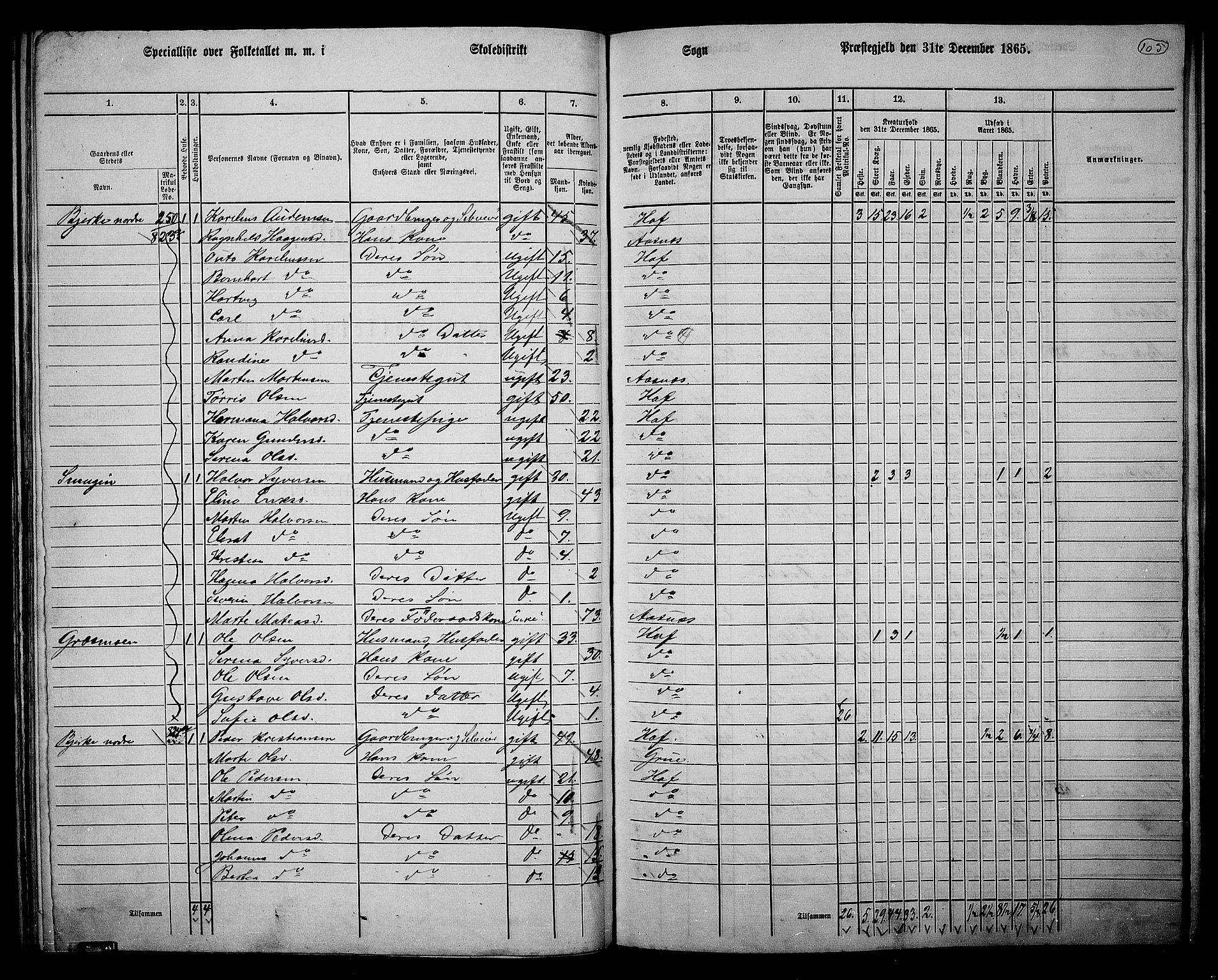 RA, 1865 census for Hof, 1865, p. 97