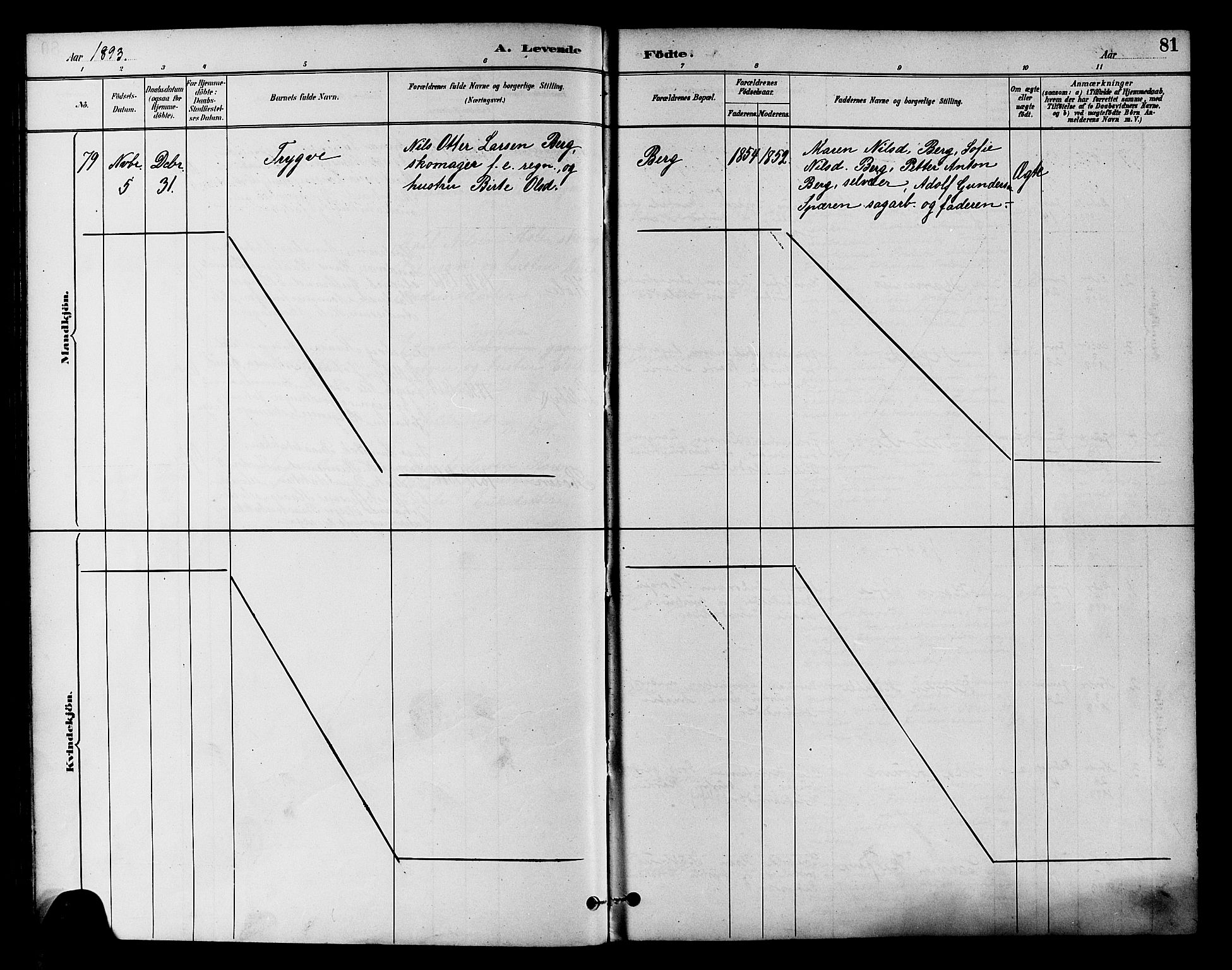 Eiker kirkebøker, SAKO/A-4/F/Fb/L0002: Parish register (official) no. II 2, 1889-1896, p. 81