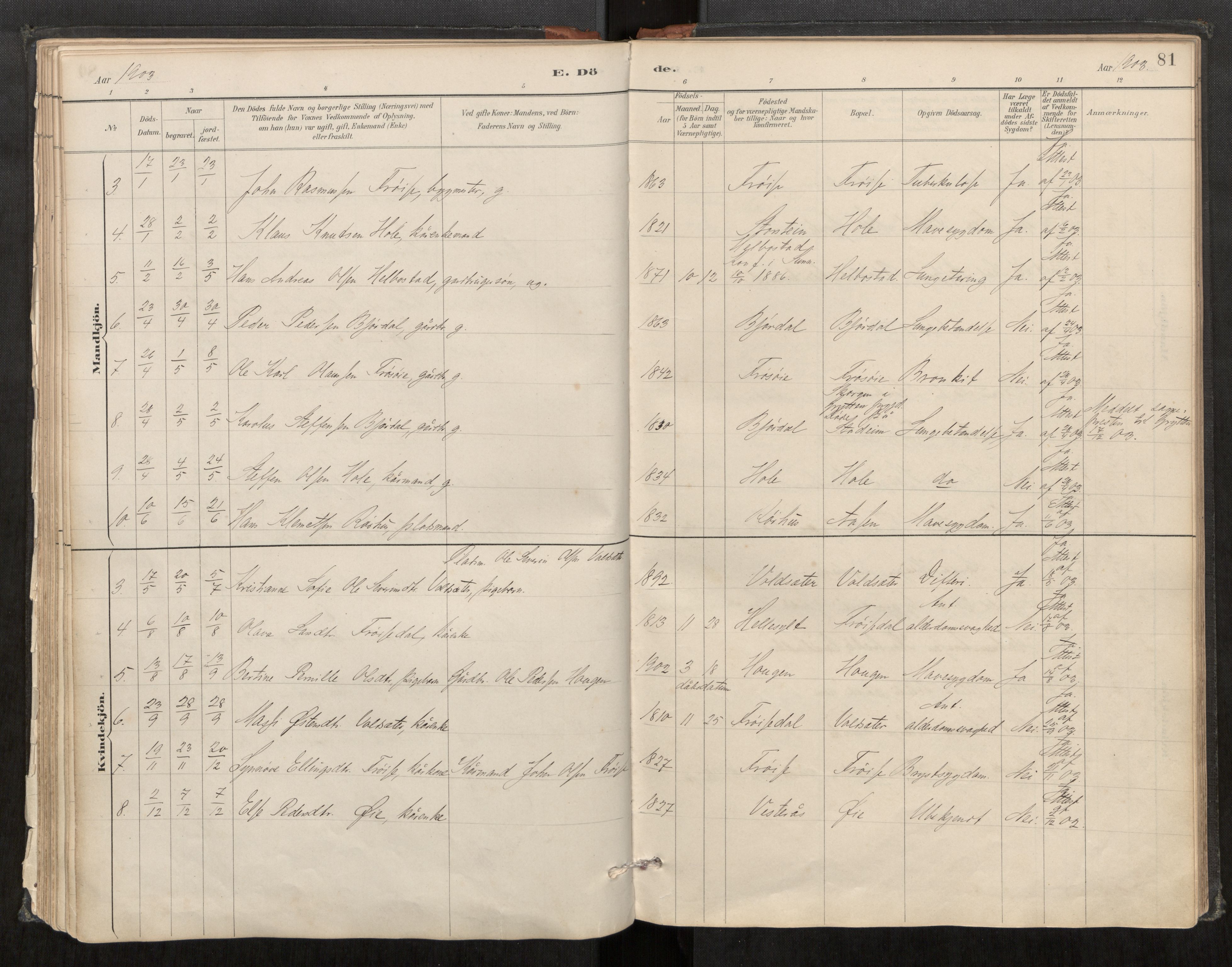 Sunnylven sokneprestkontor, AV/SAT-A-1007: Parish register (official) no. 517A09, 1887-1910, p. 81