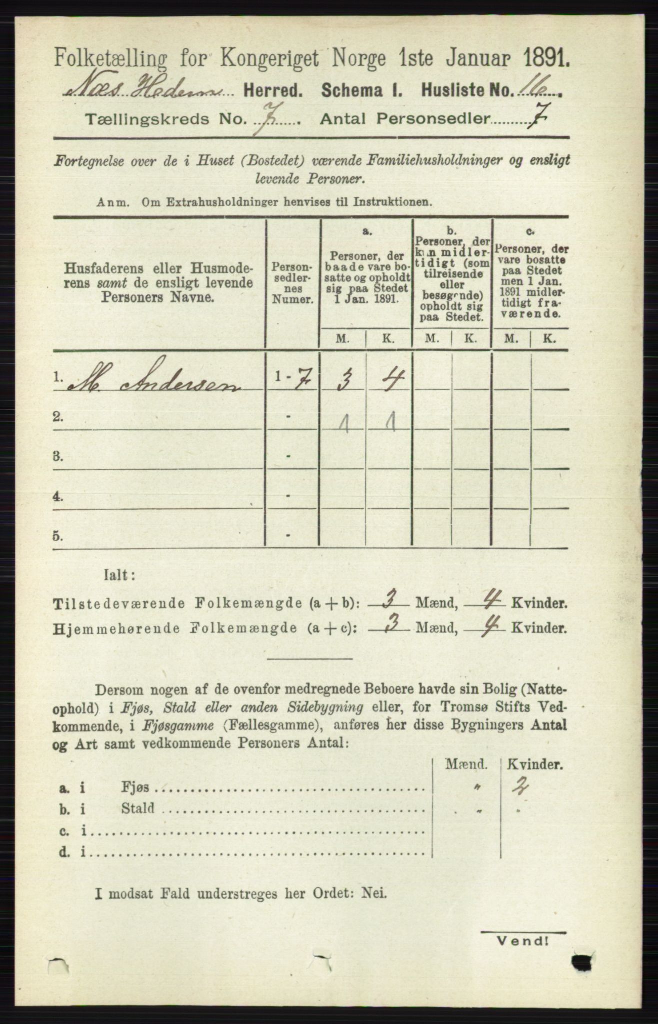 RA, 1891 census for 0411 Nes, 1891, p. 3844