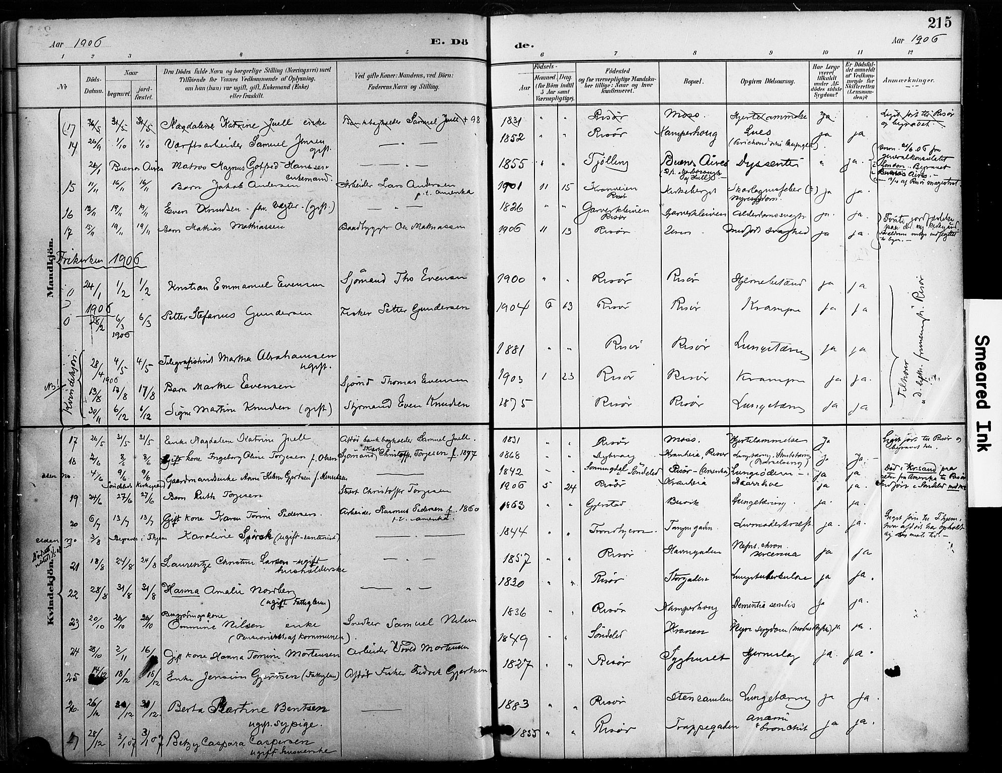 Risør sokneprestkontor, SAK/1111-0035/F/Fa/L0010: Parish register (official) no. A 10, 1896-1906, p. 215