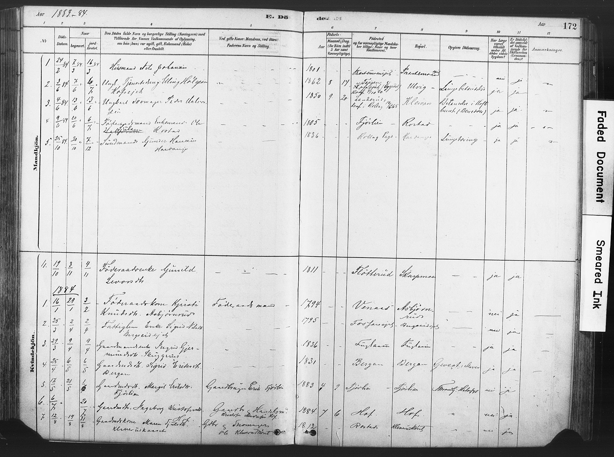 Rollag kirkebøker, AV/SAKO-A-240/F/Fa/L0011: Parish register (official) no. I 11, 1878-1902, p. 172