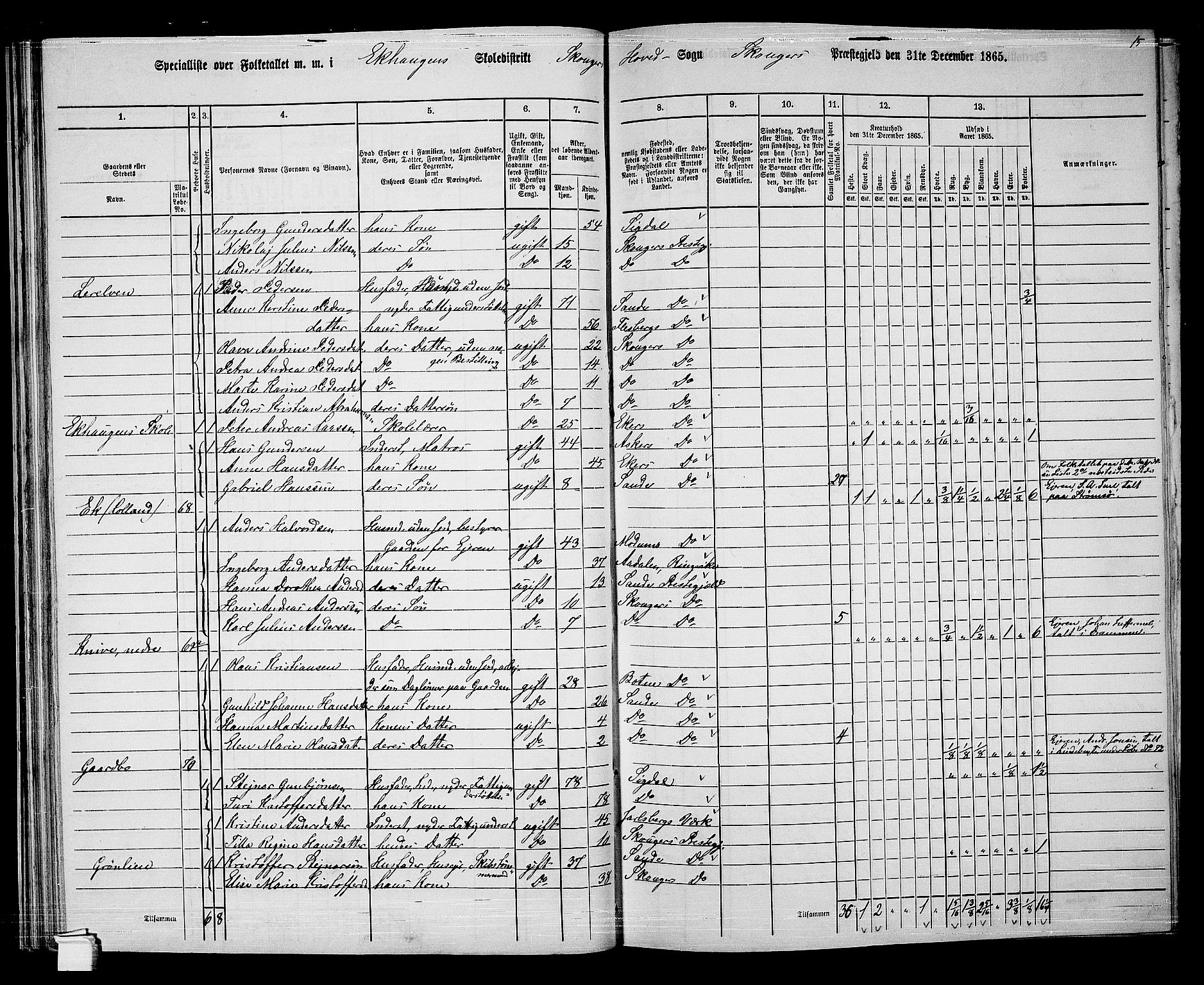 RA, 1865 census for Skoger, 1865, p. 55