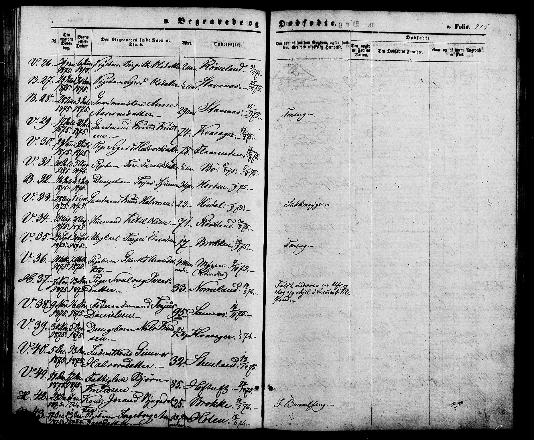 Valle sokneprestkontor, AV/SAK-1111-0044/F/Fa/Fac/L0008: Parish register (official) no. A 8, 1868-1882, p. 215