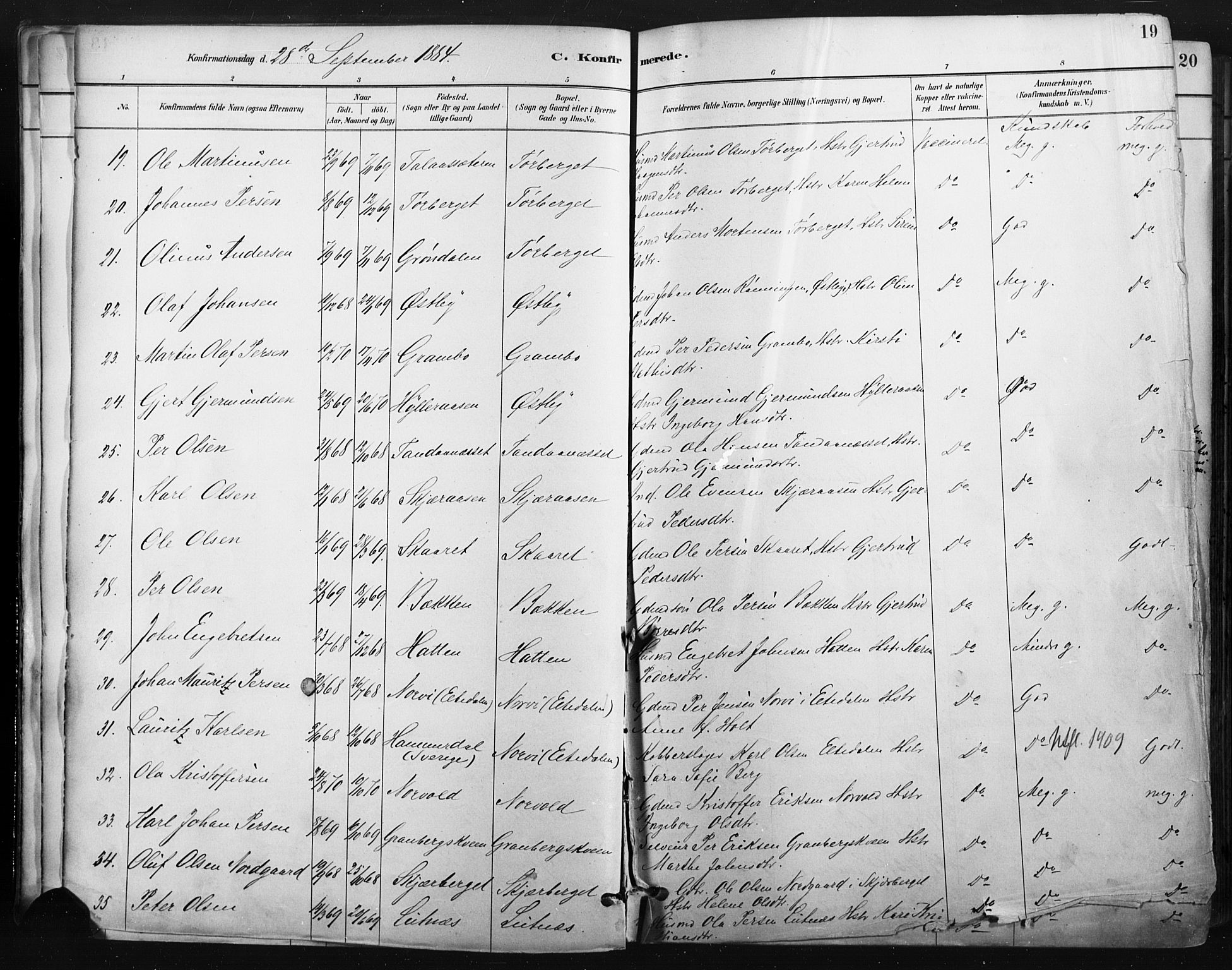 Trysil prestekontor, AV/SAH-PREST-046/H/Ha/Haa/L0009: Parish register (official) no. 9, 1881-1897, p. 19