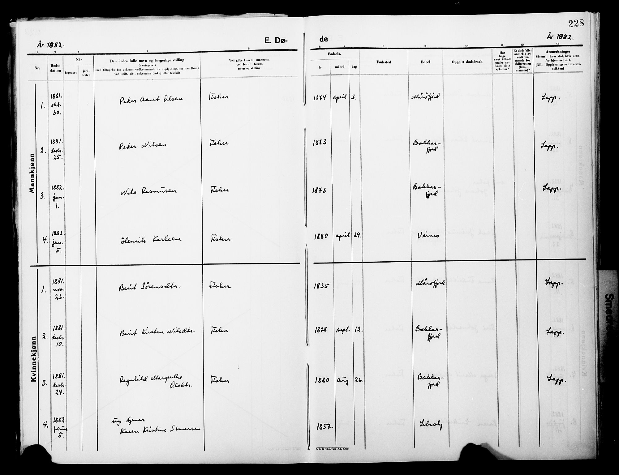 Lebesby sokneprestkontor, SATØ/S-1353/H/Ha/L0004kirke: Parish register (official) no. 4, 1870-1902, p. 228