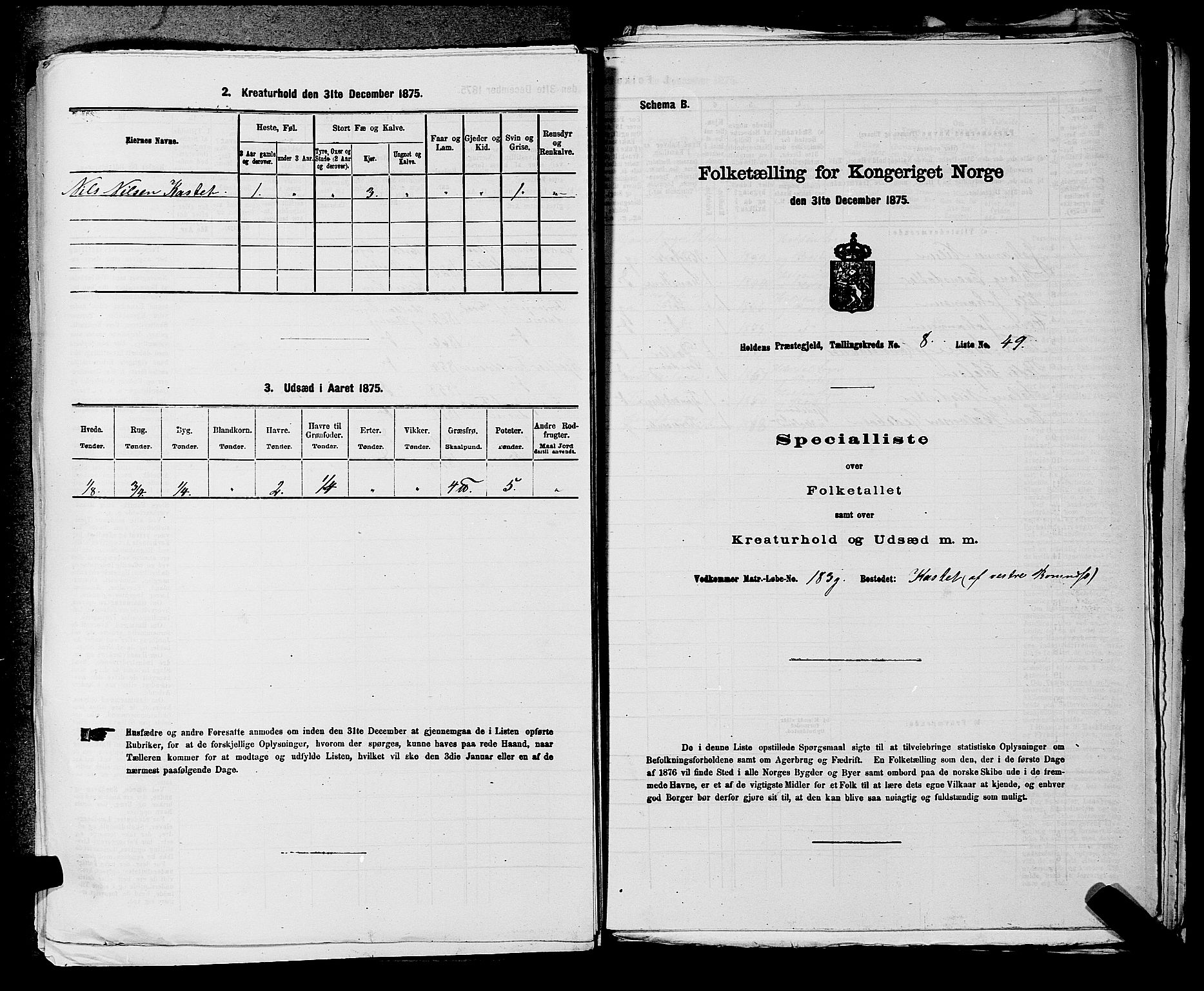 SAKO, 1875 census for 0819P Holla, 1875, p. 1062