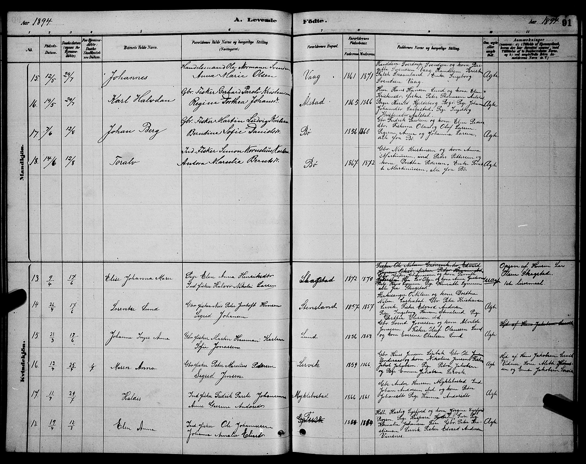 Ministerialprotokoller, klokkerbøker og fødselsregistre - Nordland, AV/SAT-A-1459/855/L0816: Parish register (copy) no. 855C05, 1879-1894, p. 91