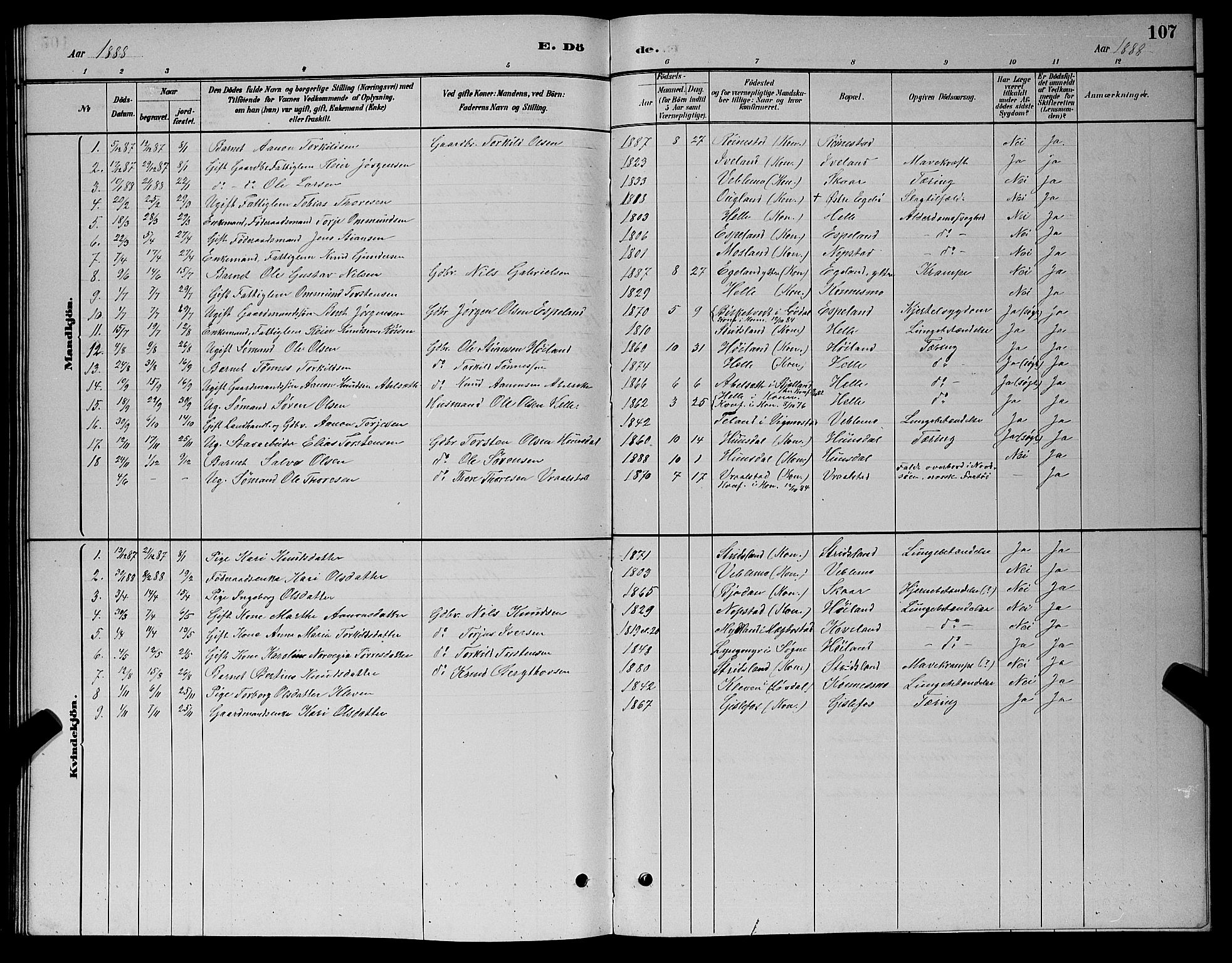 Nord-Audnedal sokneprestkontor, SAK/1111-0032/F/Fb/Fba/L0003: Parish register (copy) no. B 3, 1881-1900, p. 107