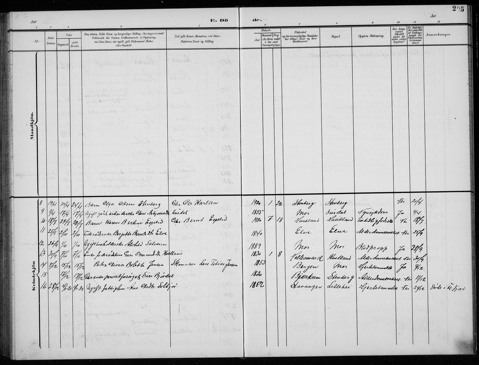 Lund sokneprestkontor, AV/SAST-A-101809/S07/L0008: Parish register (copy) no. B 8, 1902-1936, p. 205