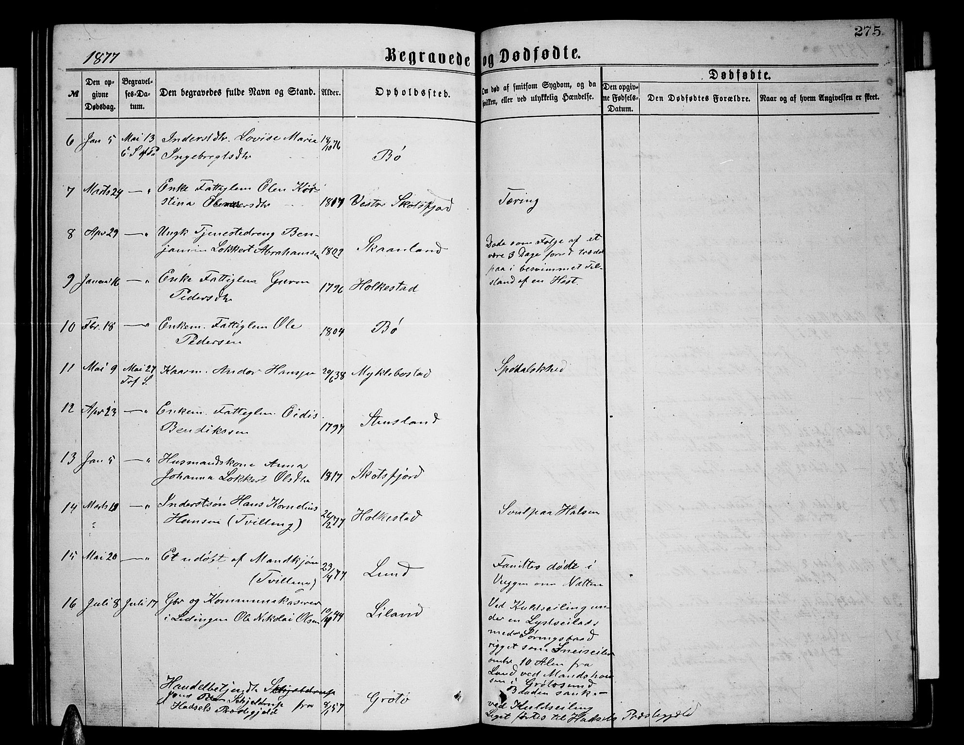 Ministerialprotokoller, klokkerbøker og fødselsregistre - Nordland, AV/SAT-A-1459/855/L0815: Parish register (copy) no. 855C04, 1865-1878, p. 275