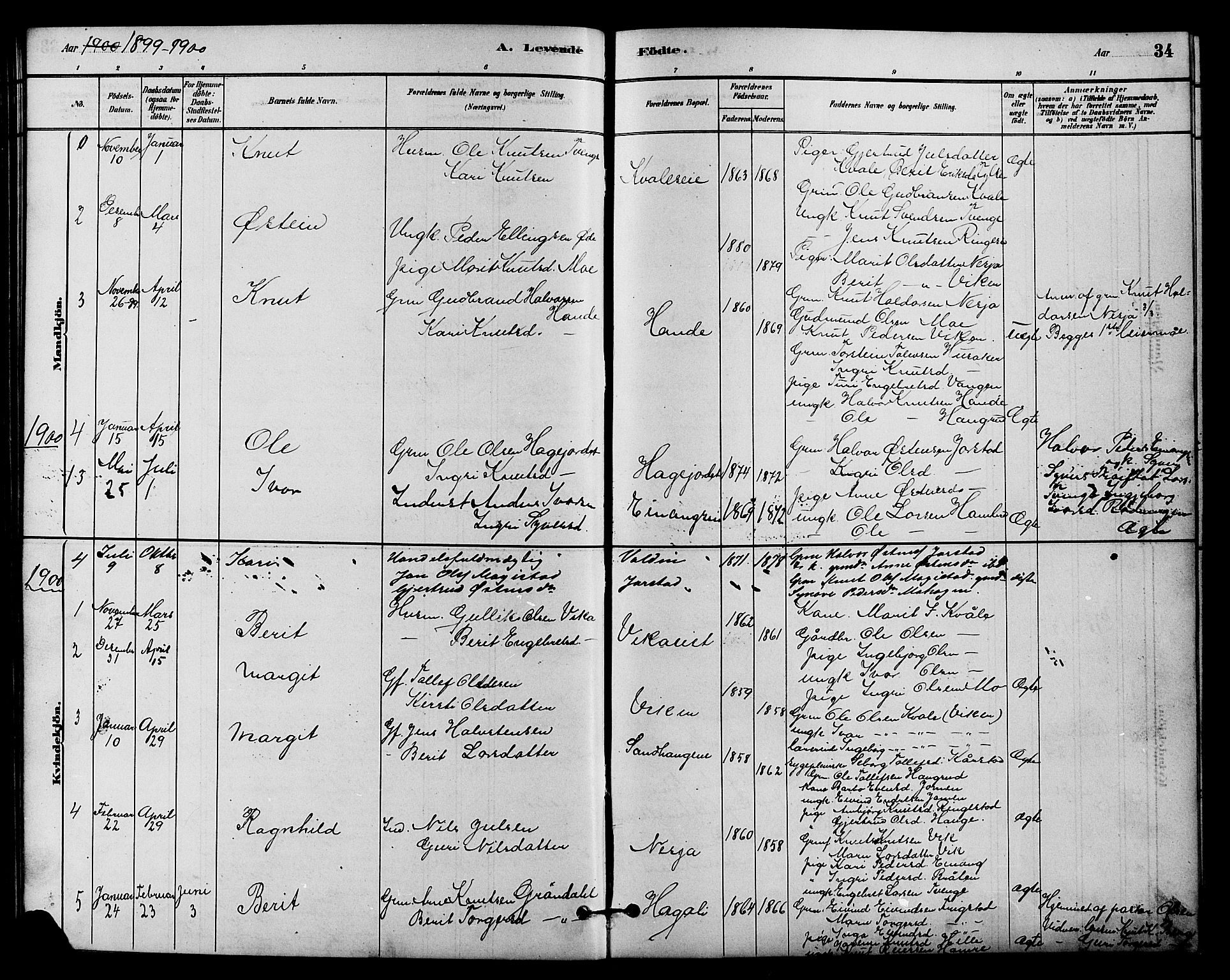 Vestre Slidre prestekontor, SAH/PREST-136/H/Ha/Hab/L0004: Parish register (copy) no. 4, 1881-1912, p. 34