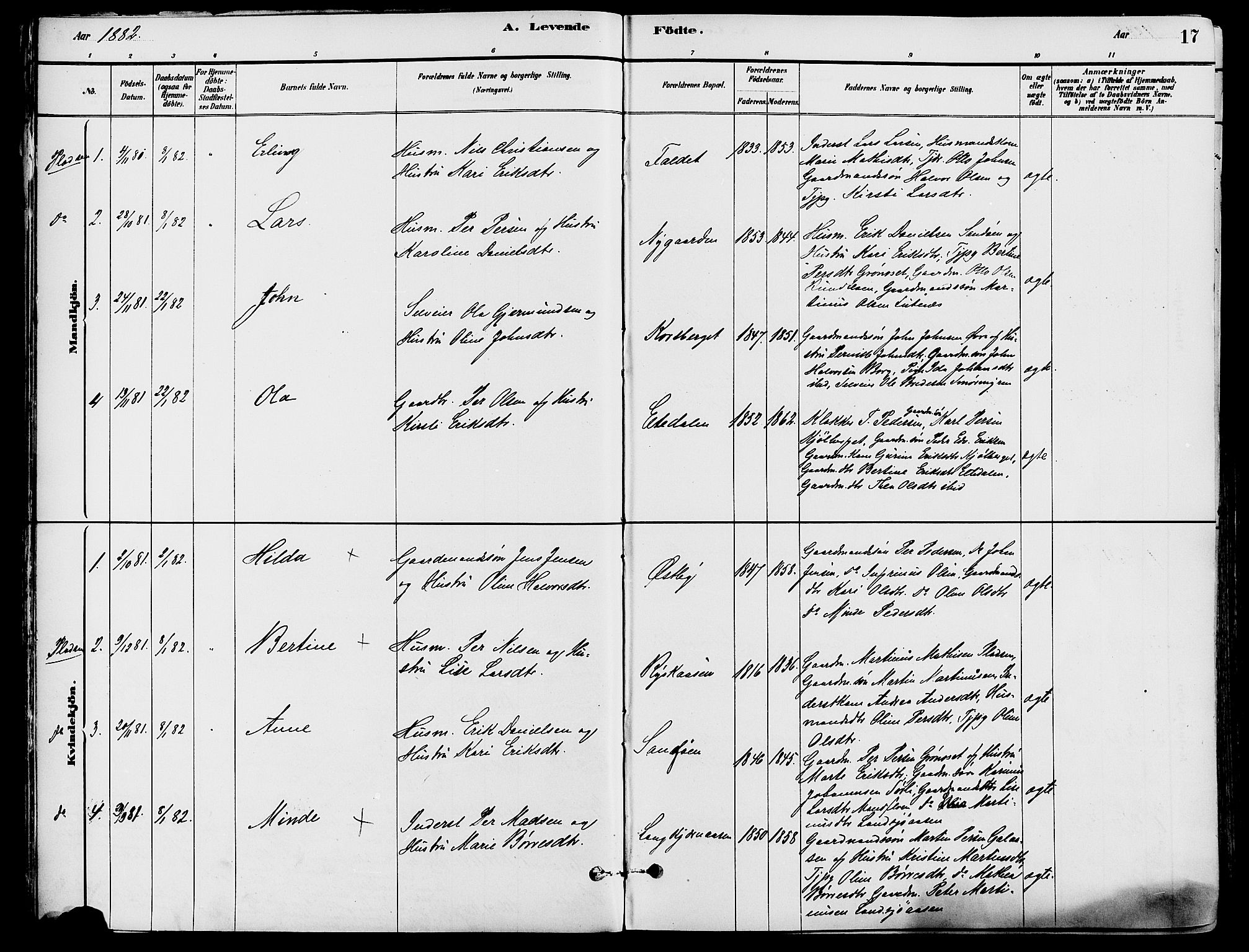 Trysil prestekontor, SAH/PREST-046/H/Ha/Haa/L0008: Parish register (official) no. 8, 1881-1897, p. 17