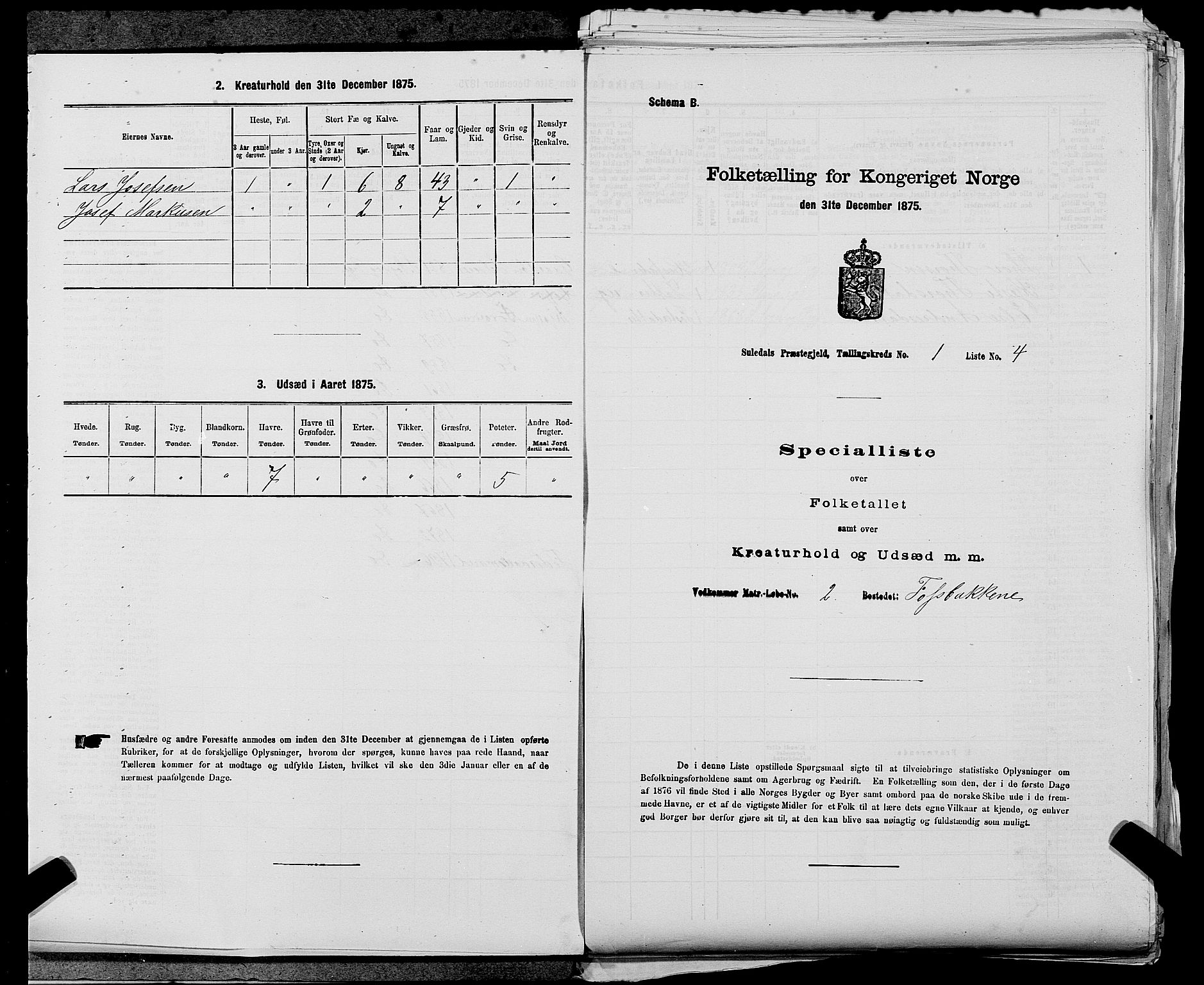 SAST, 1875 census for 1134P Suldal, 1875, p. 39