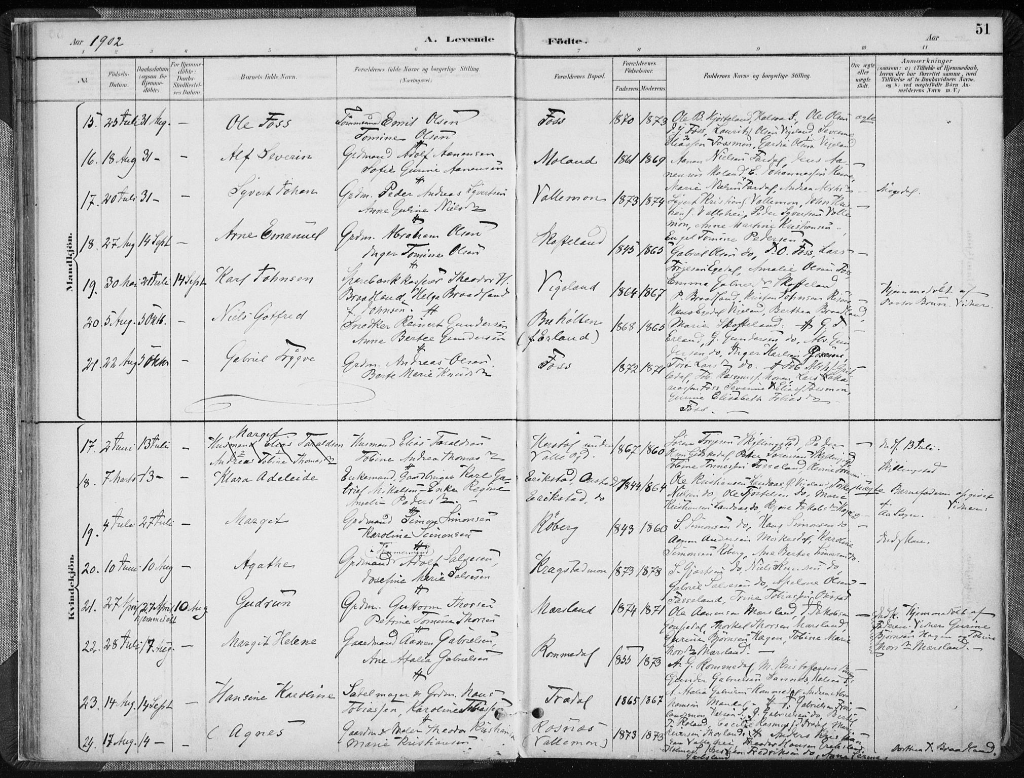 Sør-Audnedal sokneprestkontor, SAK/1111-0039/F/Fa/Fab/L0010: Parish register (official) no. A 10, 1892-1913, p. 51