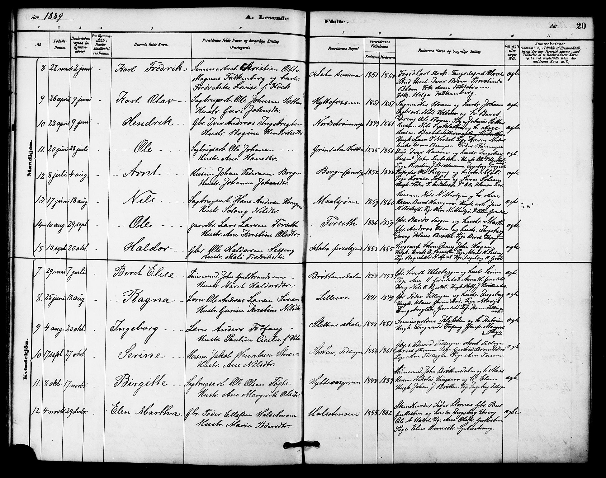 Ministerialprotokoller, klokkerbøker og fødselsregistre - Sør-Trøndelag, SAT/A-1456/618/L0444: Parish register (official) no. 618A07, 1880-1898, p. 20