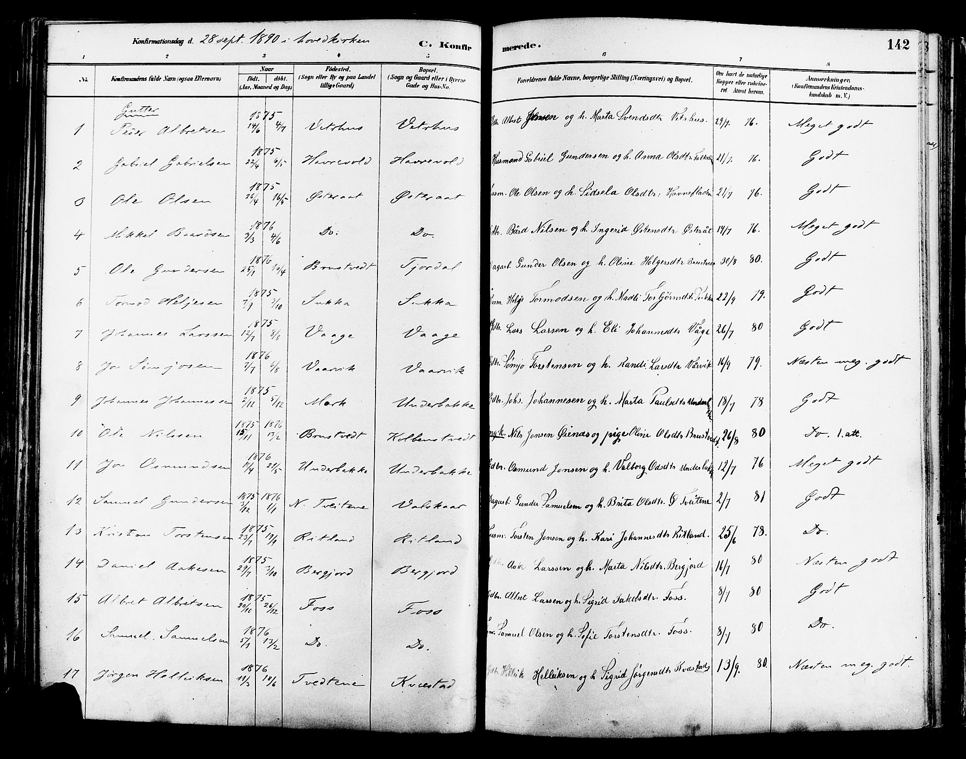 Suldal sokneprestkontor, AV/SAST-A-101845/01/IV/L0011: Parish register (official) no. A 11, 1878-1900, p. 142