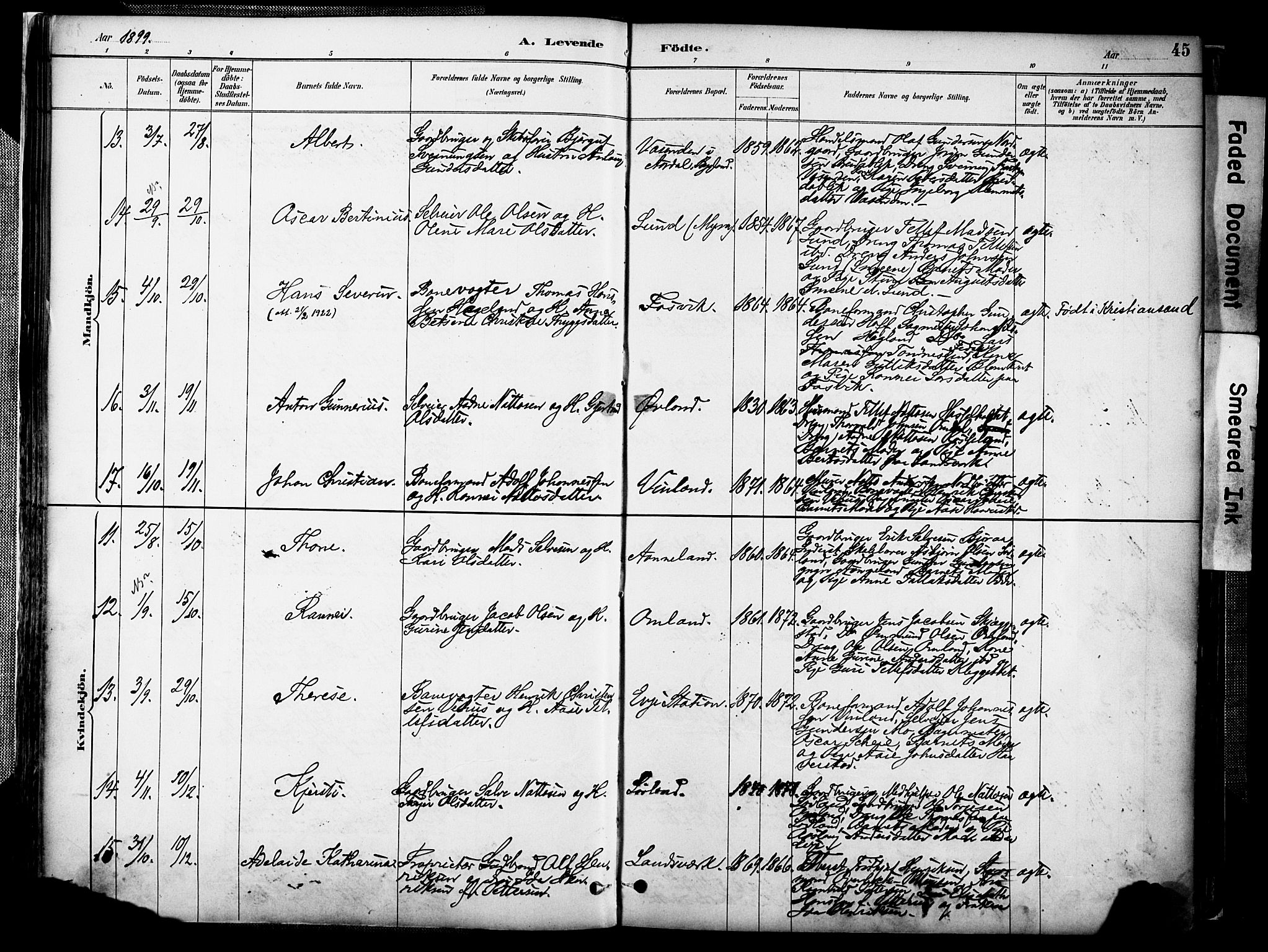 Evje sokneprestkontor, AV/SAK-1111-0008/F/Fa/Faa/L0007: Parish register (official) no. A 7, 1884-1909, p. 45