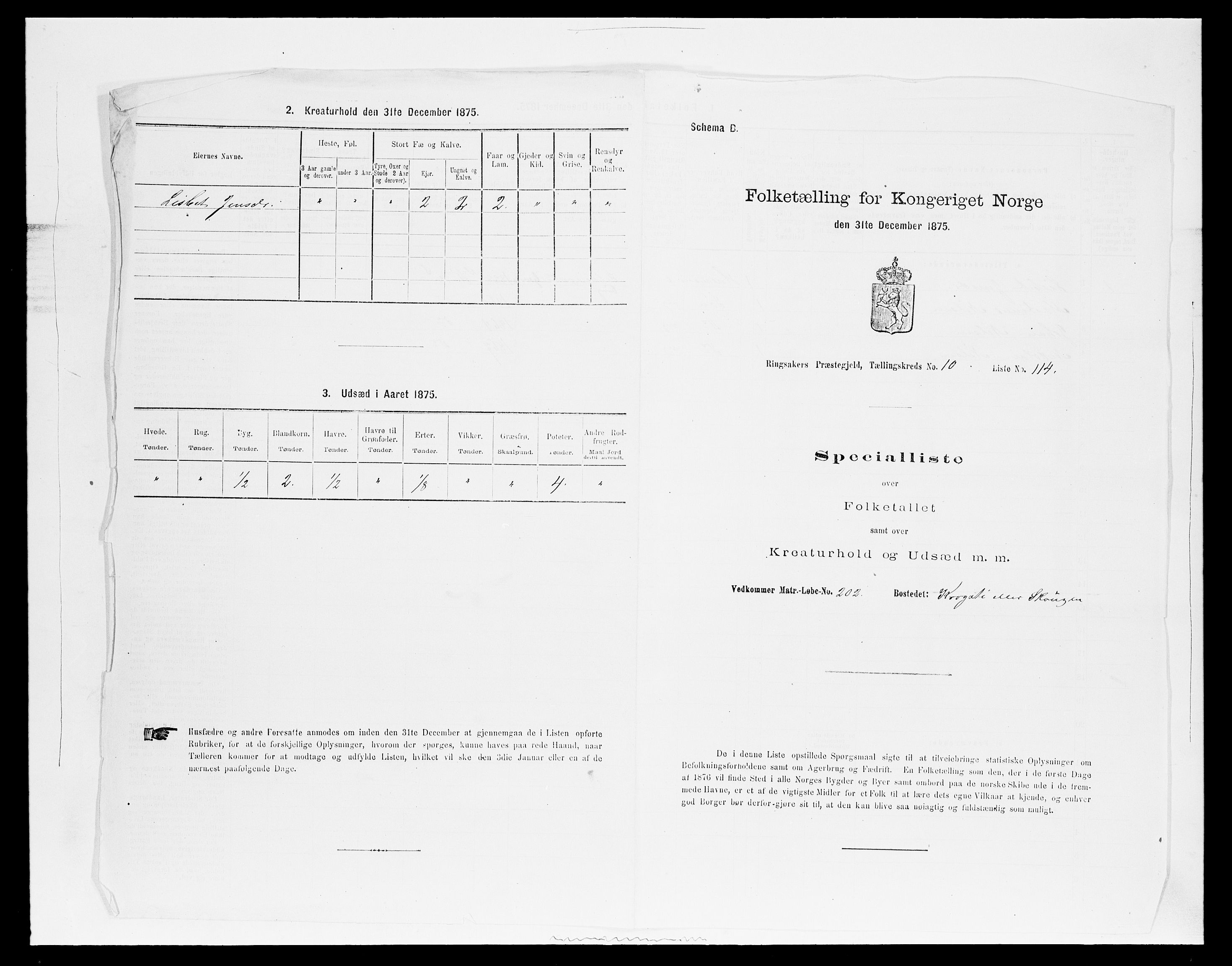 SAH, 1875 census for 0412P Ringsaker, 1875, p. 2160