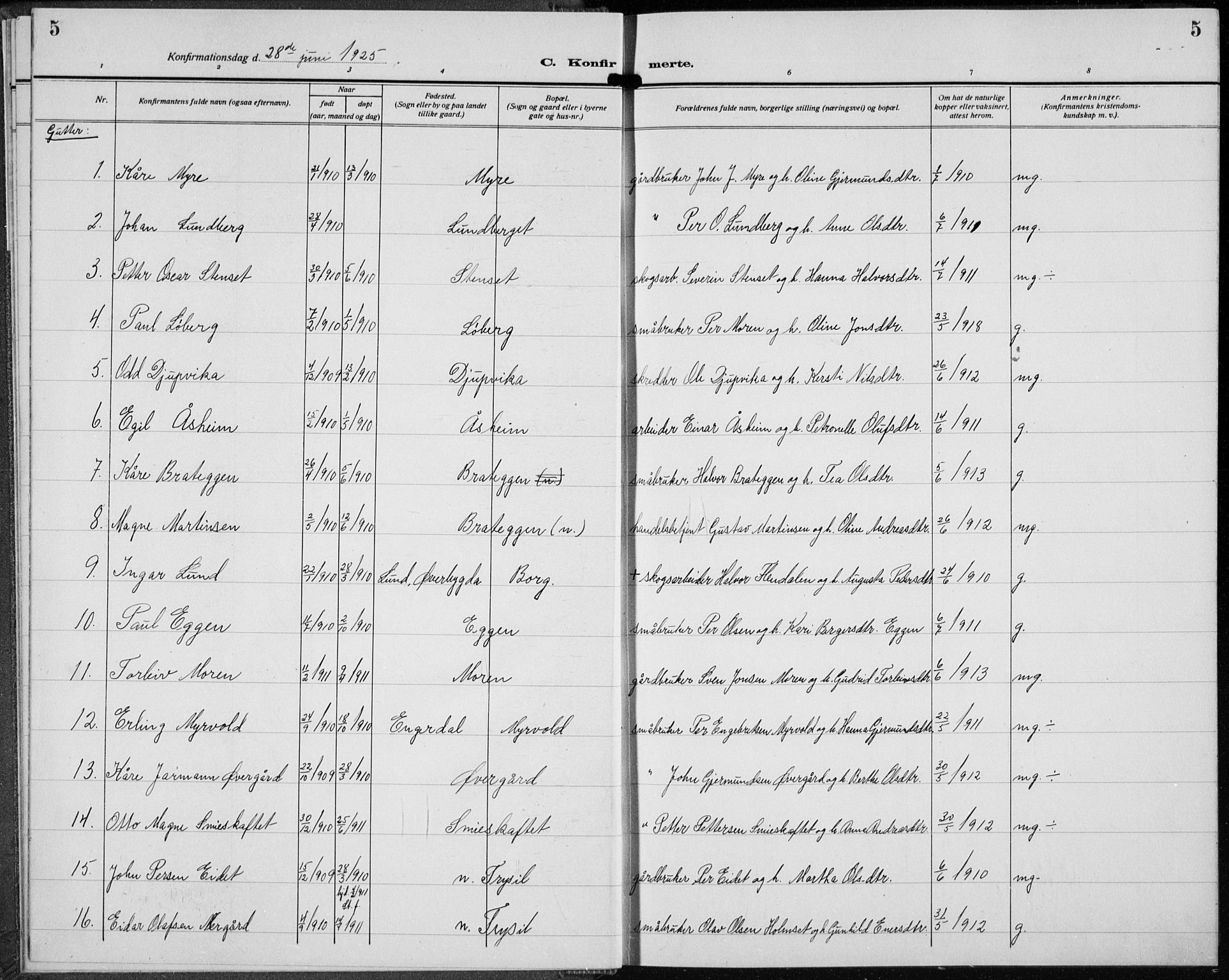 Trysil prestekontor, AV/SAH-PREST-046/H/Ha/Hab/L0010: Parish register (copy) no. 10, 1917-1937, p. 5