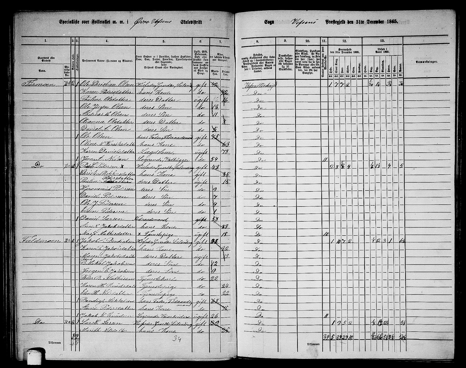 RA, 1865 census for Vefsn, 1865, p. 100