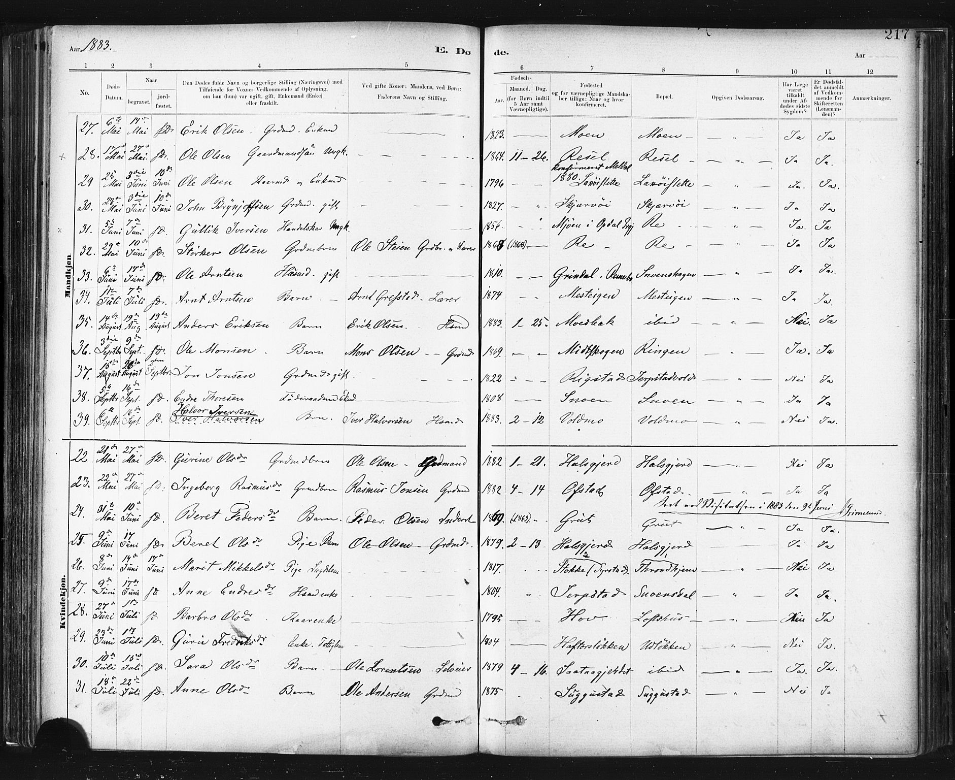 Ministerialprotokoller, klokkerbøker og fødselsregistre - Sør-Trøndelag, AV/SAT-A-1456/672/L0857: Parish register (official) no. 672A09, 1882-1893, p. 217