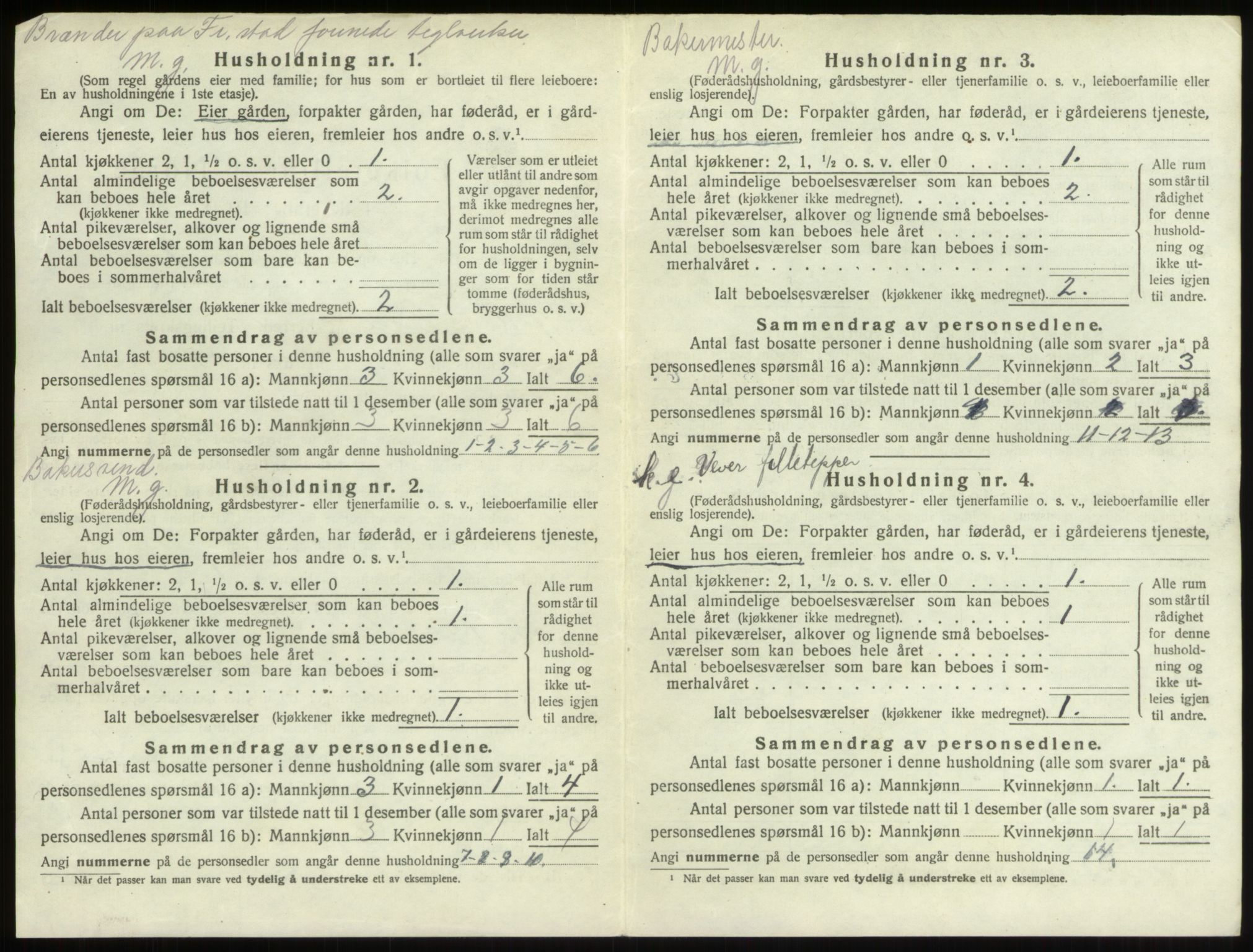 SAO, 1920 census for Borge, 1920, p. 278