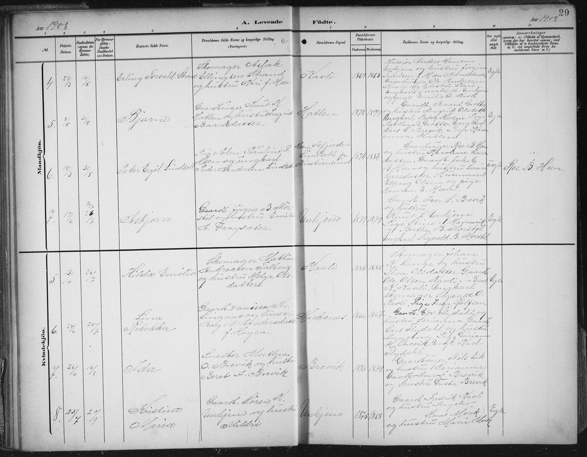 Ministerialprotokoller, klokkerbøker og fødselsregistre - Møre og Romsdal, AV/SAT-A-1454/545/L0589: Parish register (copy) no. 545C03, 1902-1937, p. 29