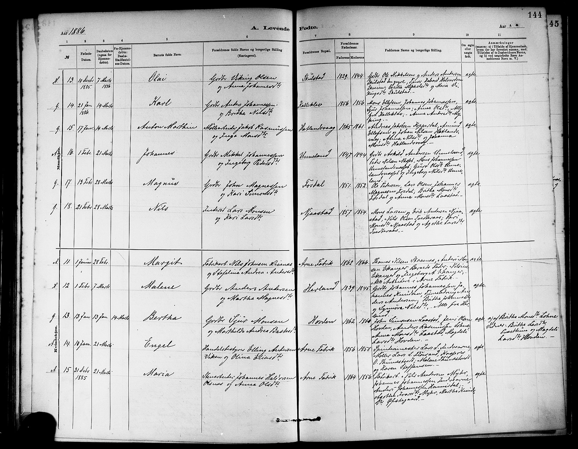 Haus sokneprestembete, AV/SAB-A-75601/H/Haa: Parish register (official) no. A 19I, 1878-1886, p. 144