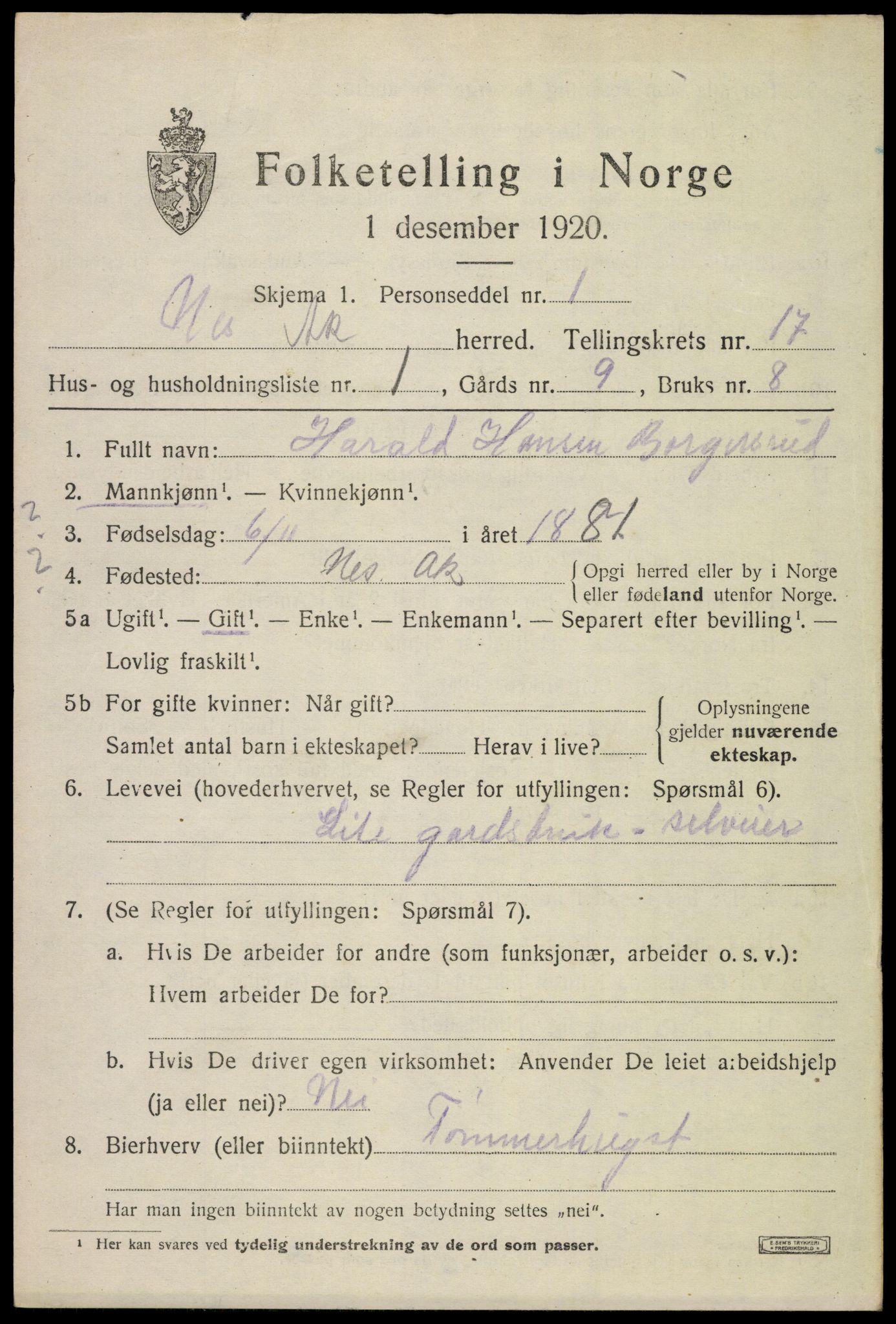 SAO, 1920 census for Nes, 1920, p. 16440