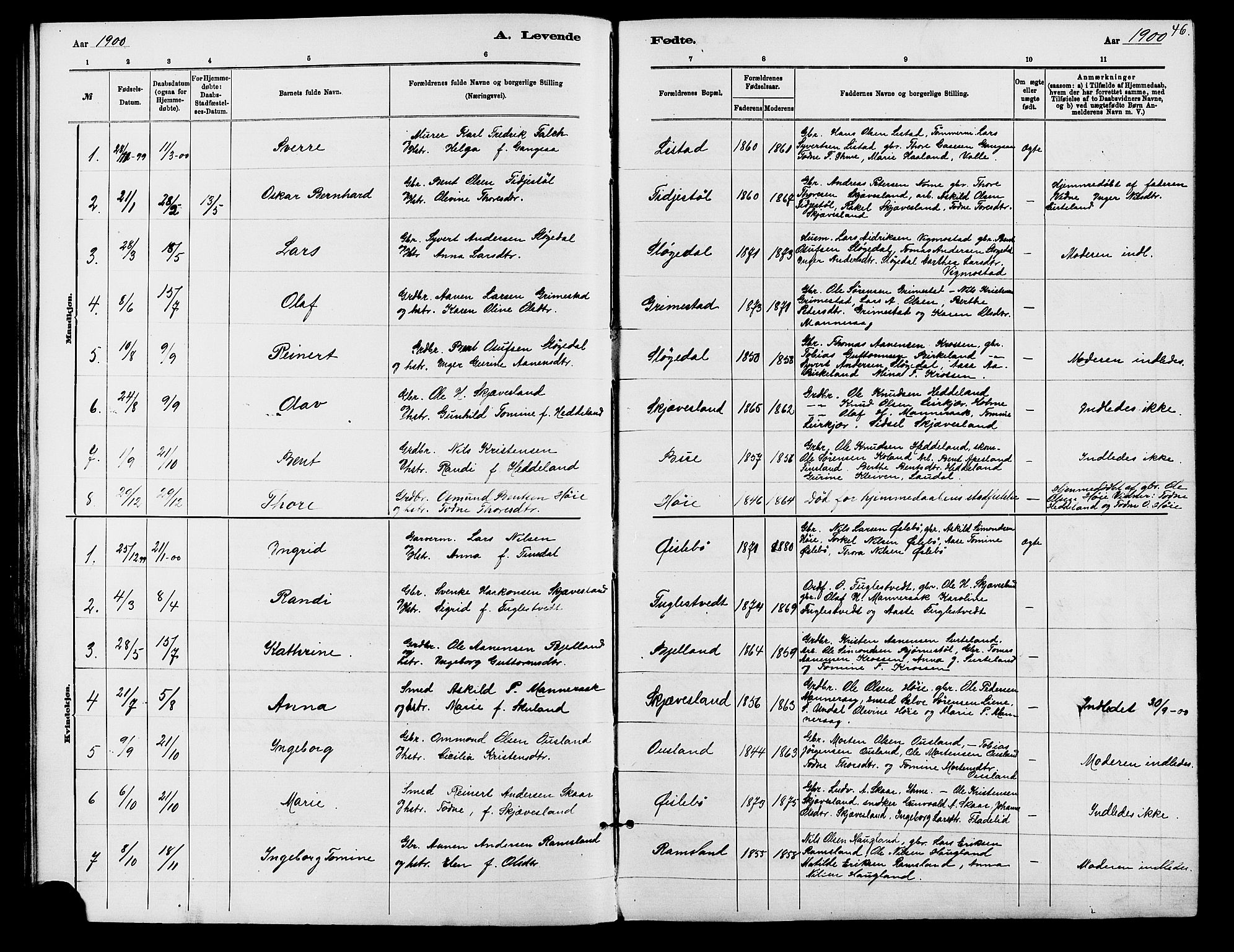 Holum sokneprestkontor, SAK/1111-0022/F/Fb/Fbc/L0003: Parish register (copy) no. B 3, 1882-1908, p. 46