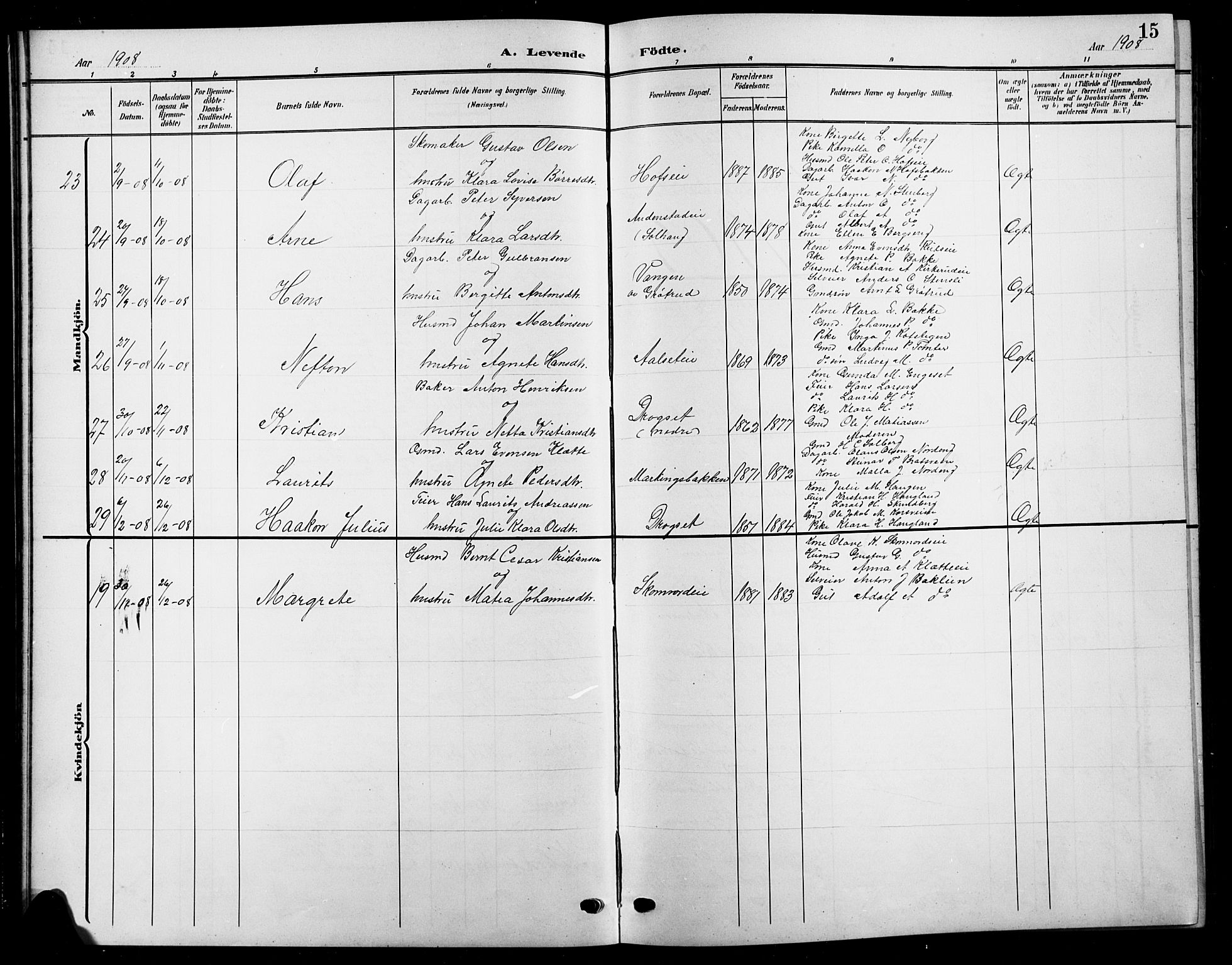 Biri prestekontor, SAH/PREST-096/H/Ha/Hab/L0005: Parish register (copy) no. 5, 1906-1919, p. 15