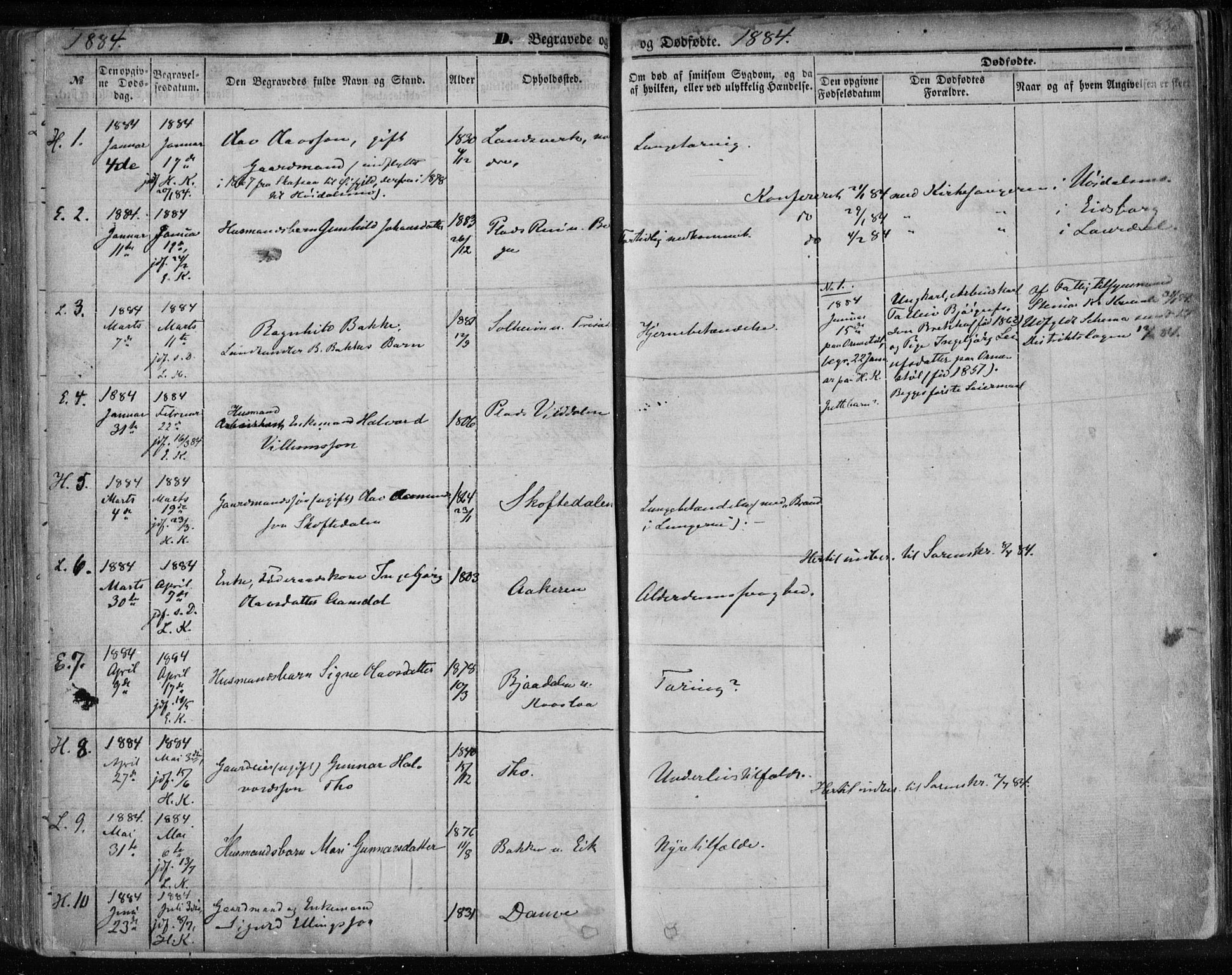 Lårdal kirkebøker, SAKO/A-284/F/Fa/L0006: Parish register (official) no. I 6, 1861-1886, p. 336