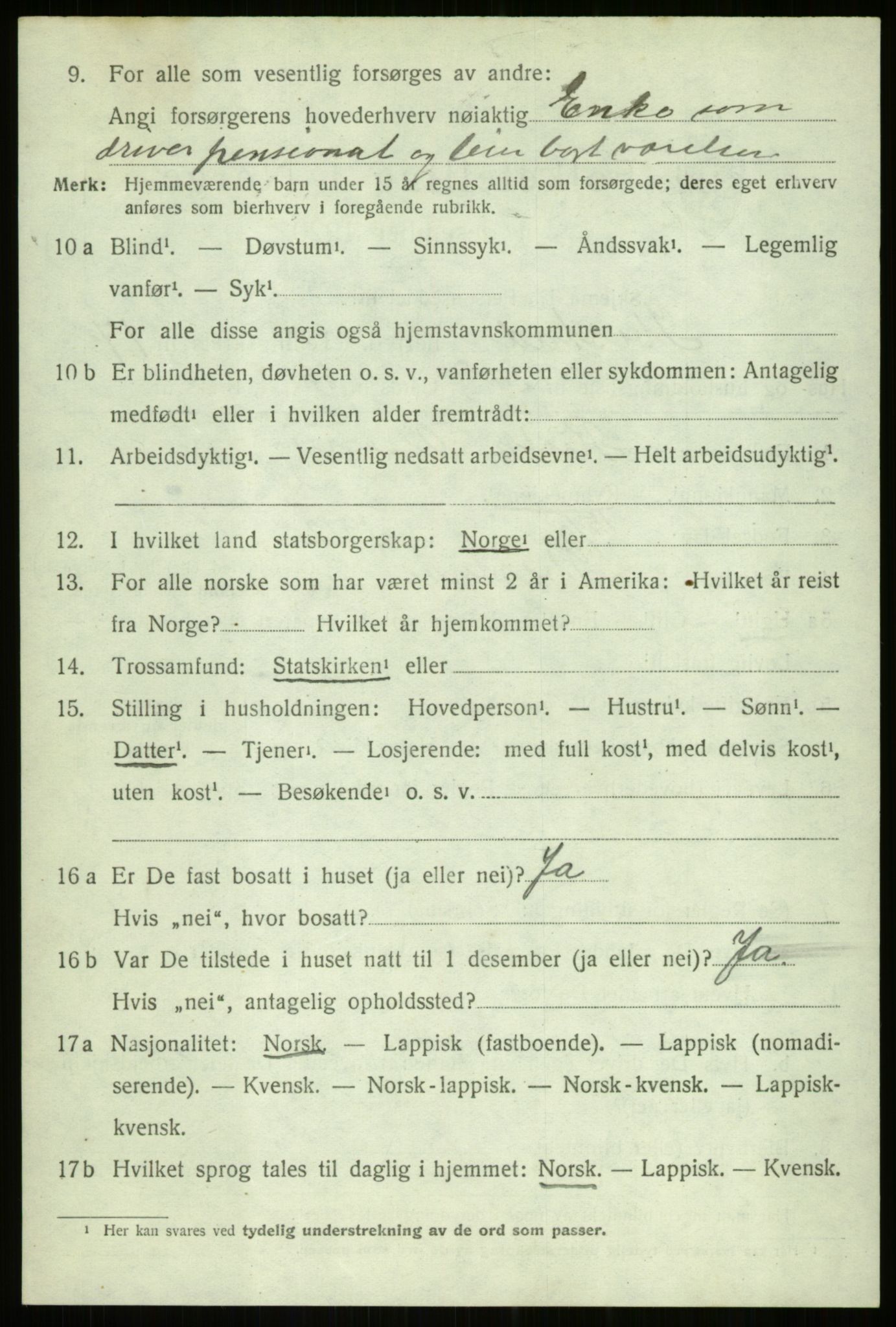 SATØ, 1920 census for Ibestad, 1920, p. 9011